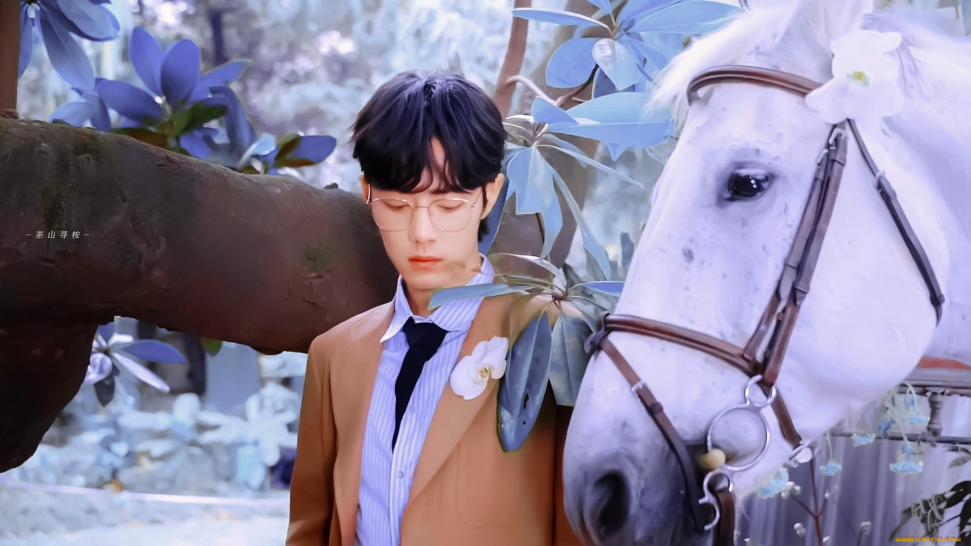 мужчины, xiao, zhan, актер, очки, лошадь, дерево