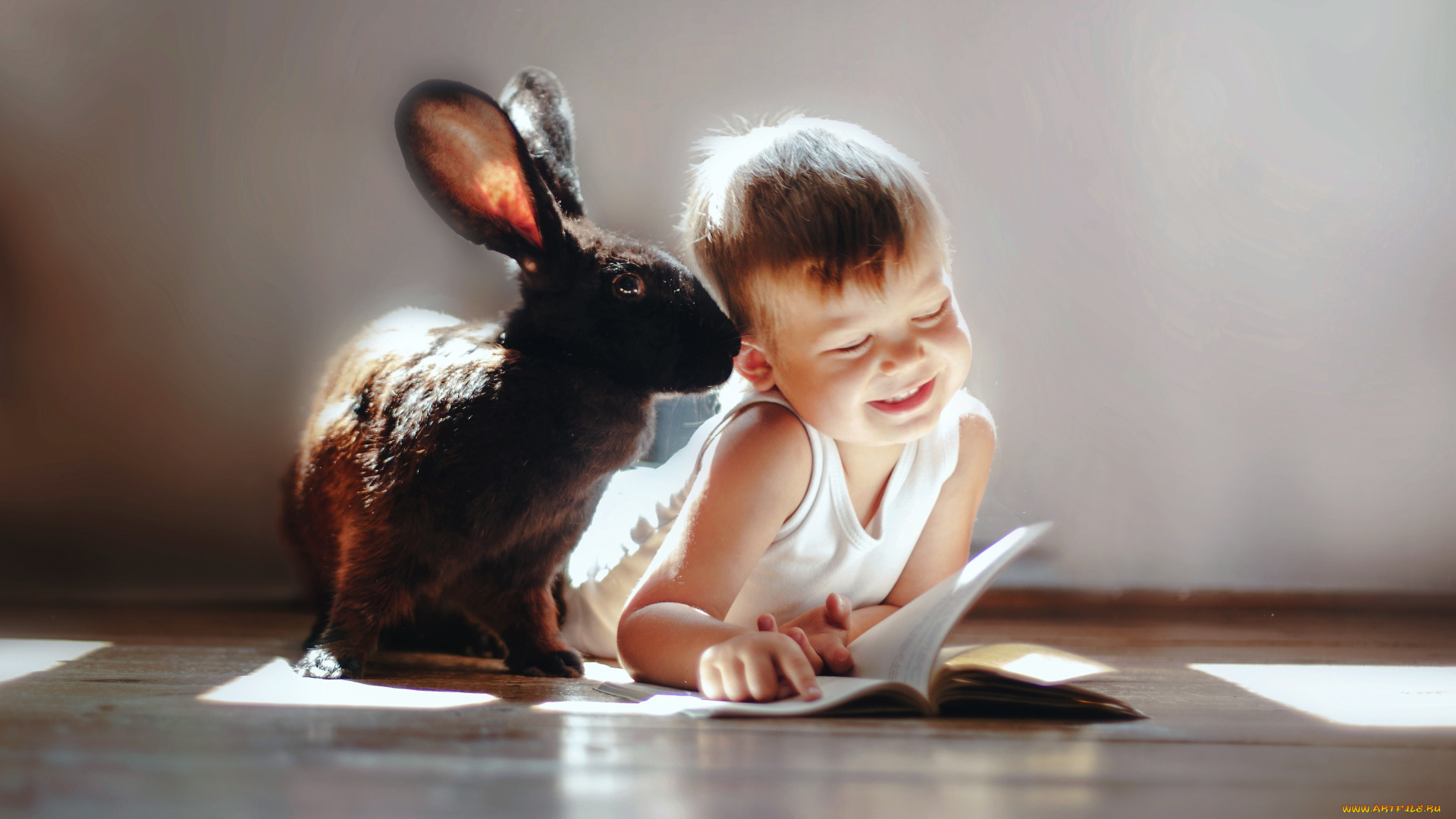 разное, дети, кролик, мальчик, книга