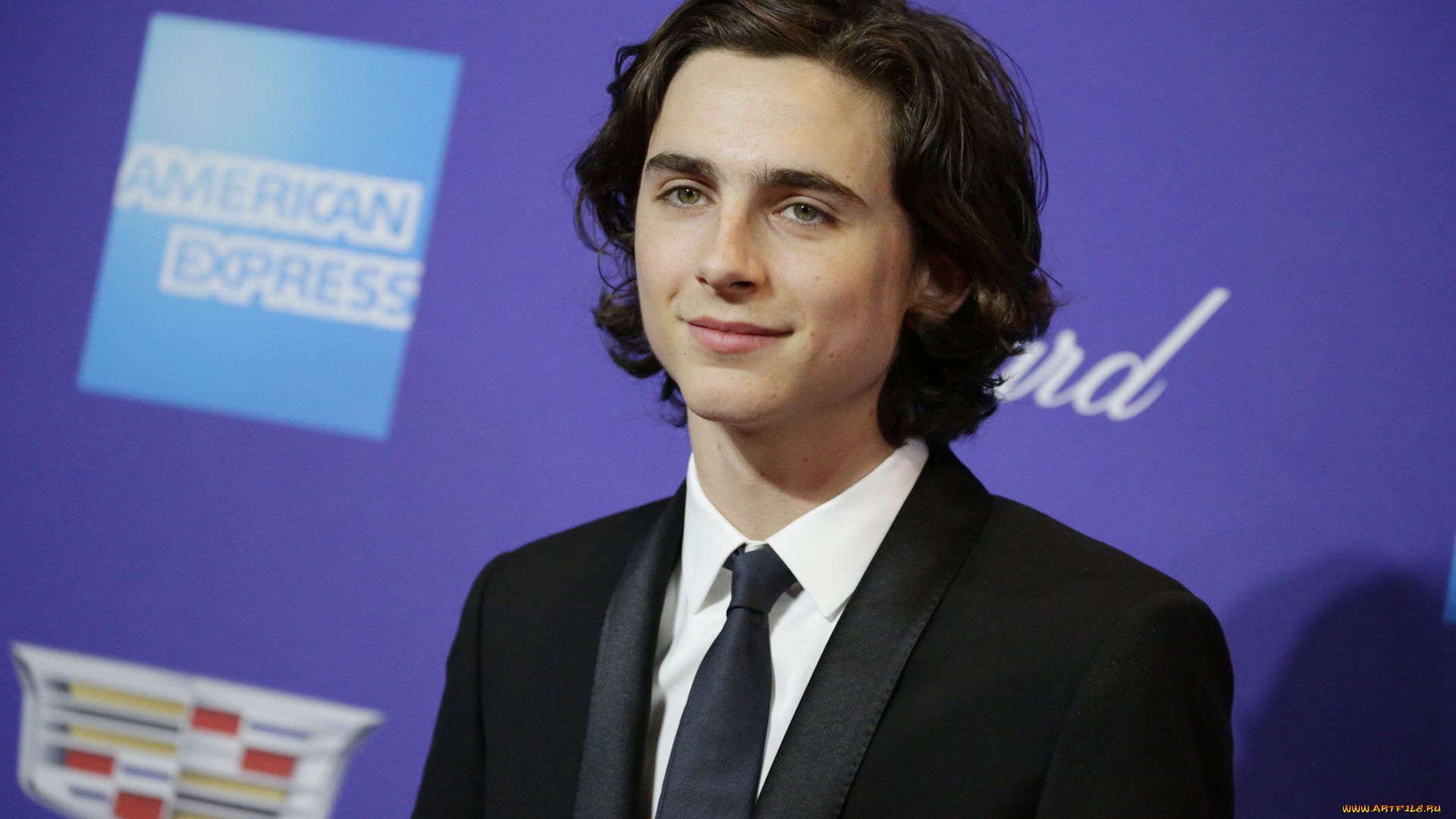 timothee, chalamet, мужчины, актер, костюм