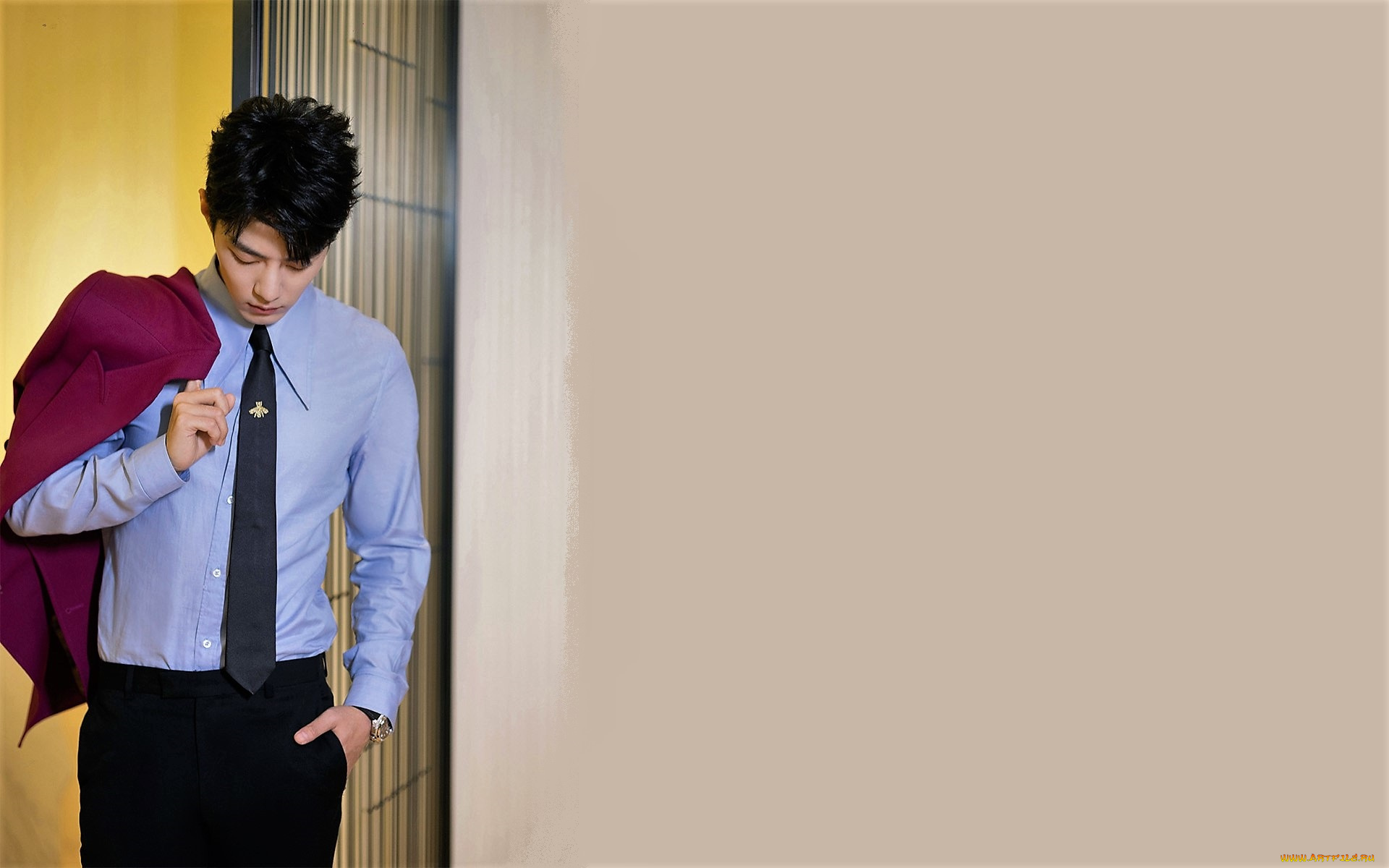 мужчины, xiao, zhan, актер, пиджак, рубашка, галстук