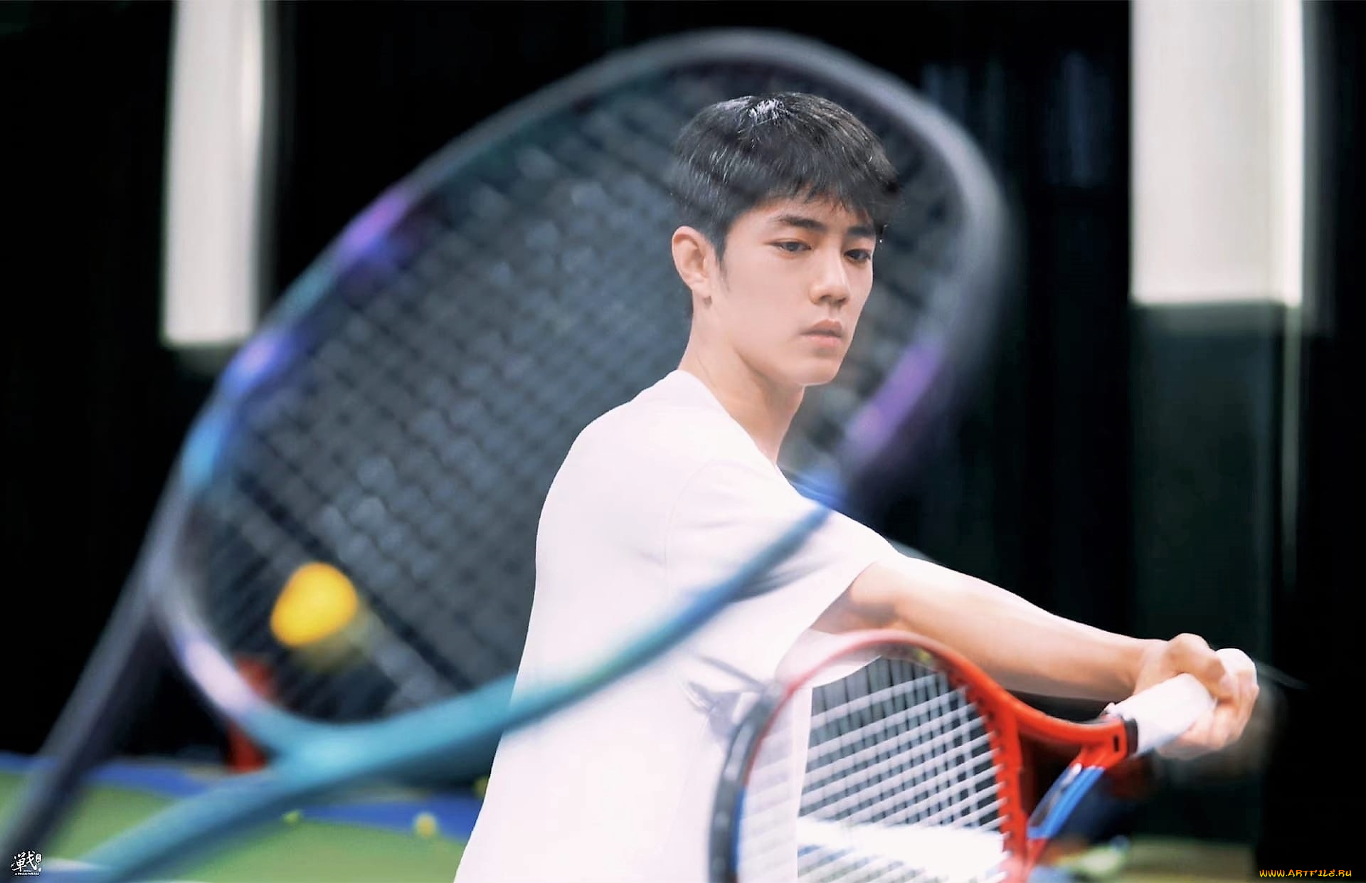 мужчины, xiao, zhan, актер, ракетка, теннис