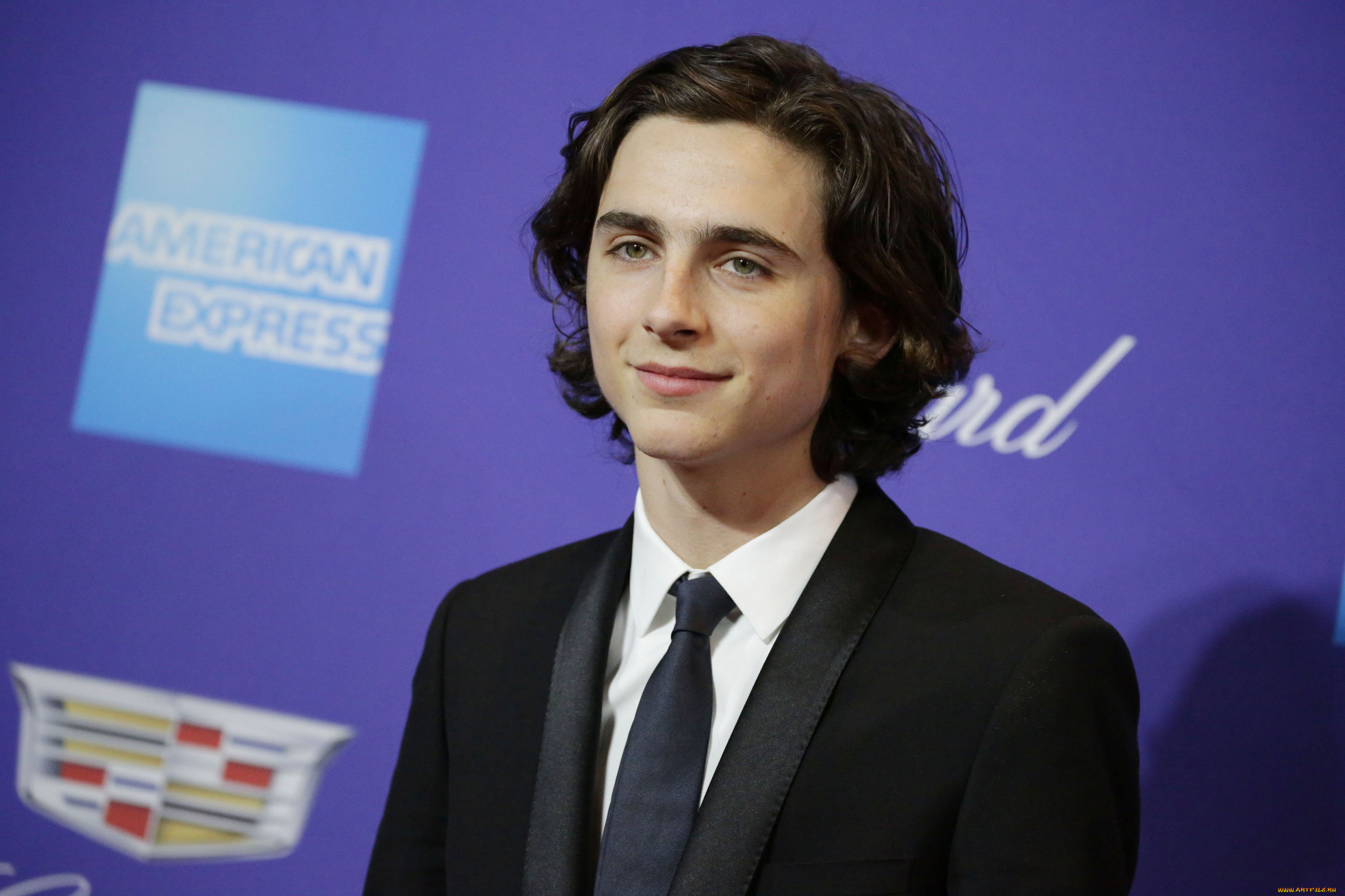 timothee, chalamet, мужчины, актер, костюм