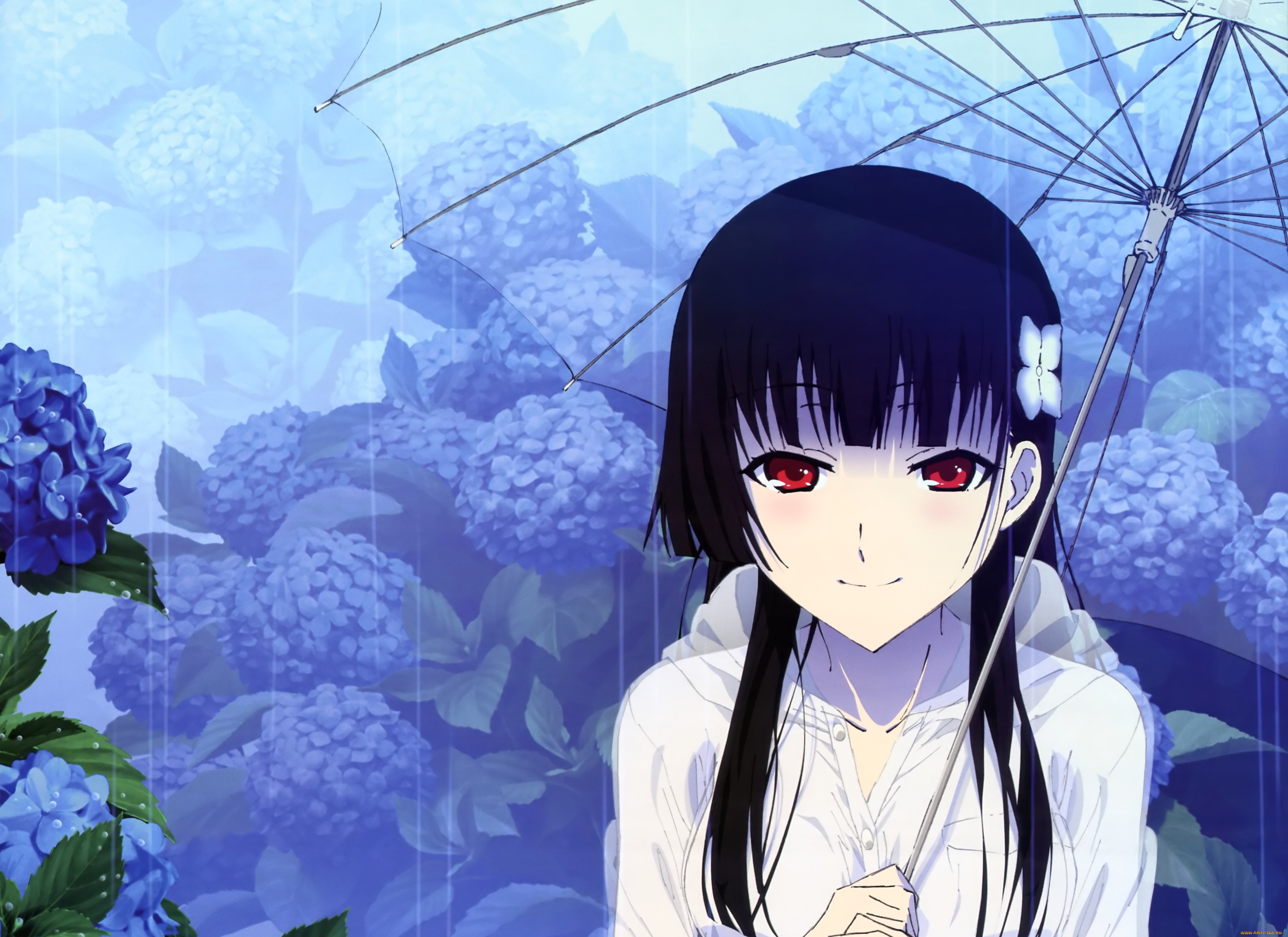 аниме, sankarea