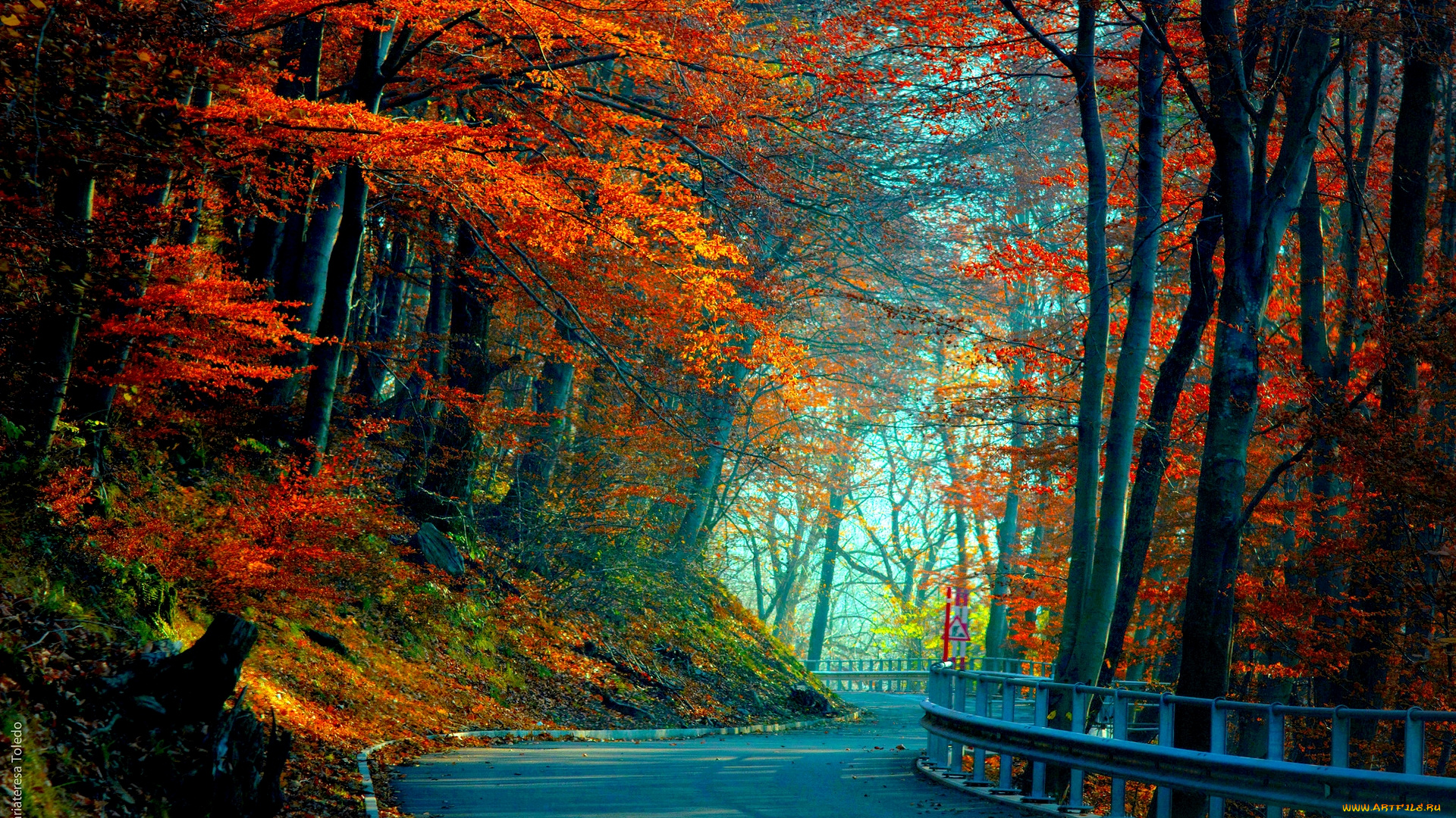 autumn, road, природа, дороги, лес, дорога, осень, краски
