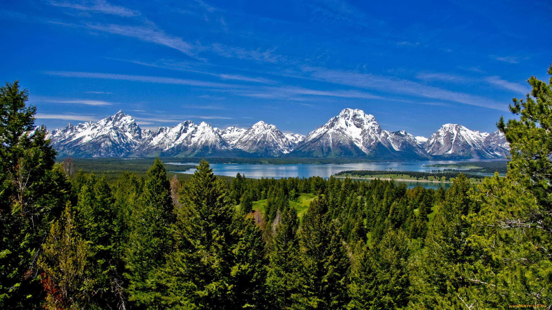 grand, teton, national, park, usa, wyoming, природа, пейзажи, горы, лес, озеро