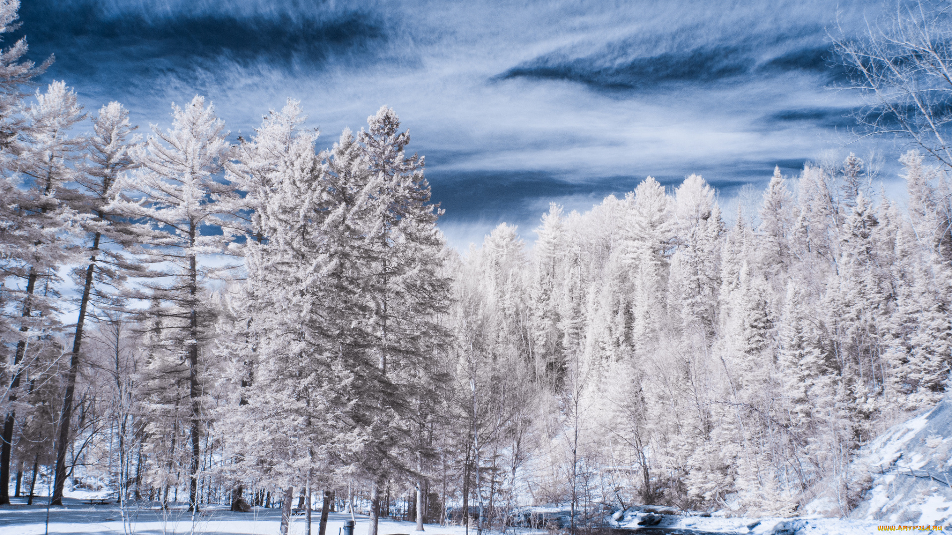 природа, зима, деревья, река, снег
