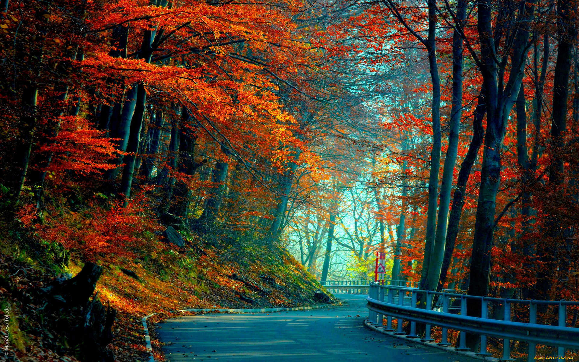 autumn, road, природа, дороги, лес, дорога, осень, краски