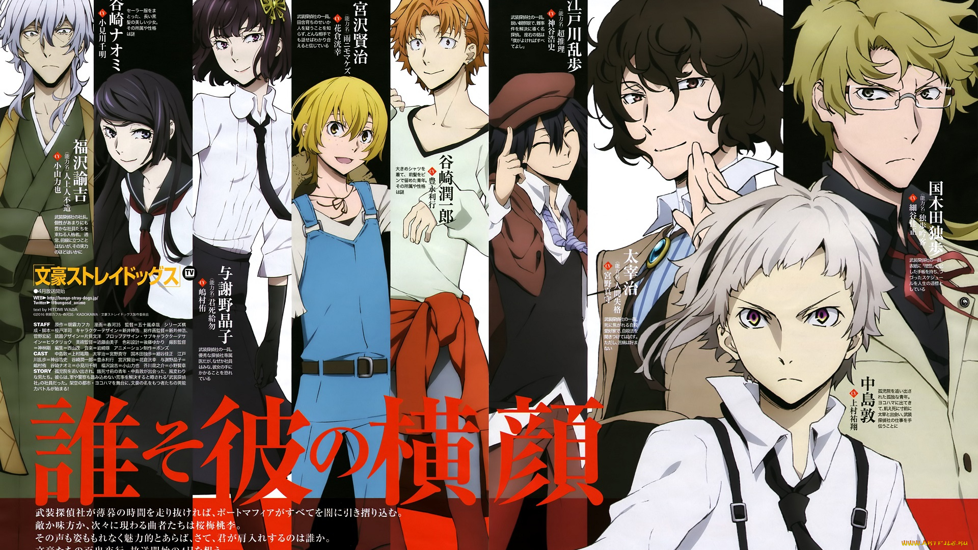 аниме, bungou, stray, dogs, bungou, stray, dogs