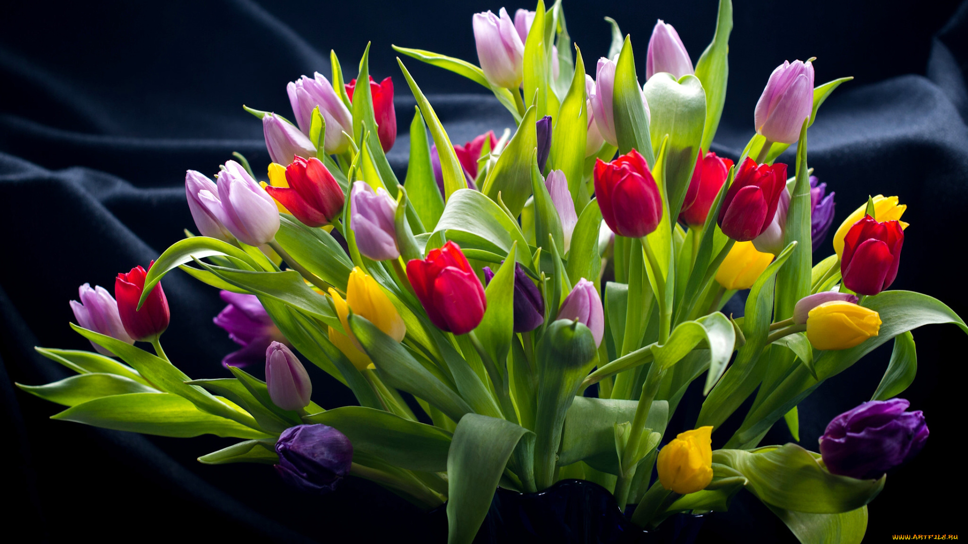 цветы, тюльпаны, разноцветные, букет