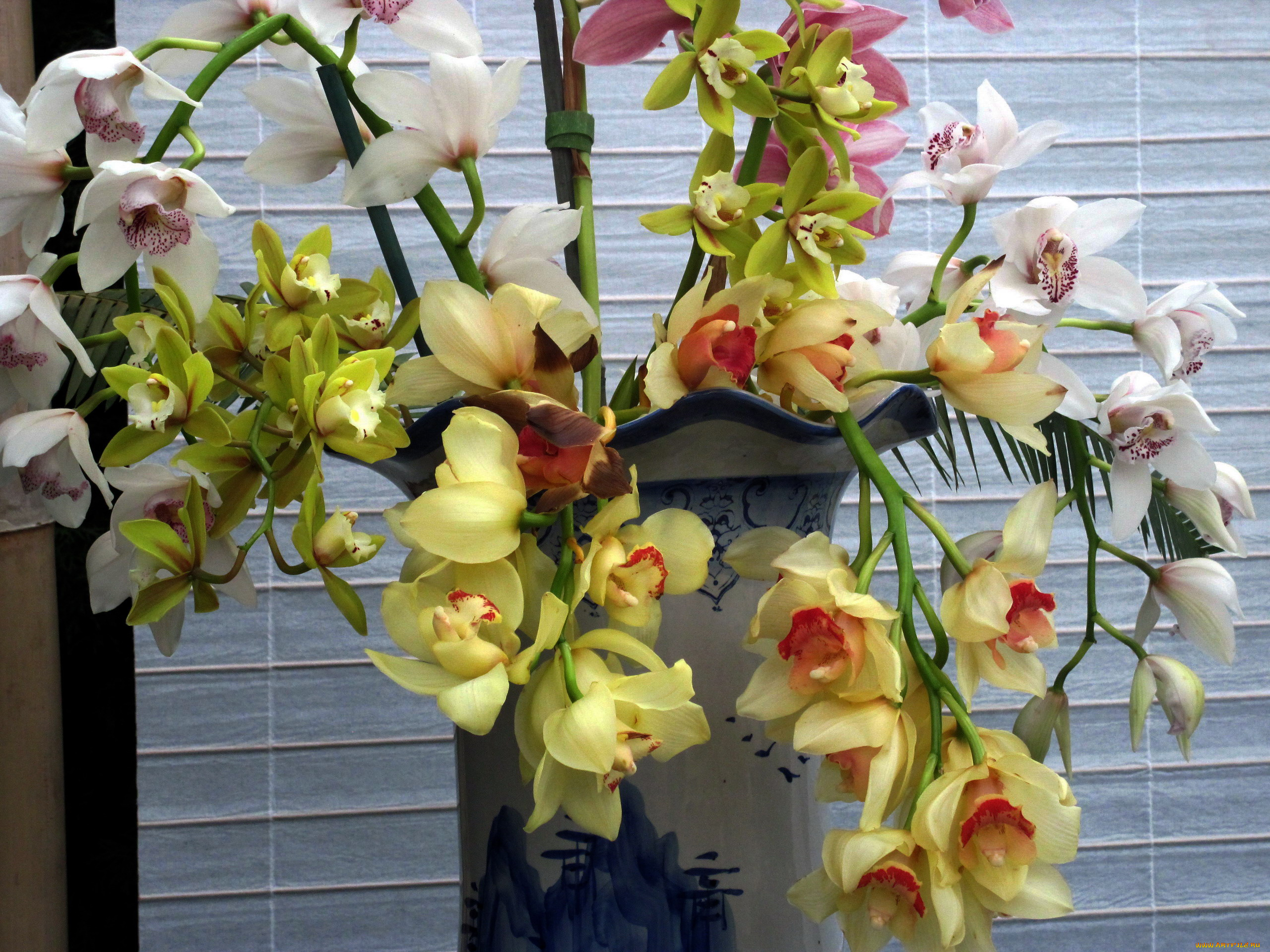 цветы, орхидеи, ваза, букет