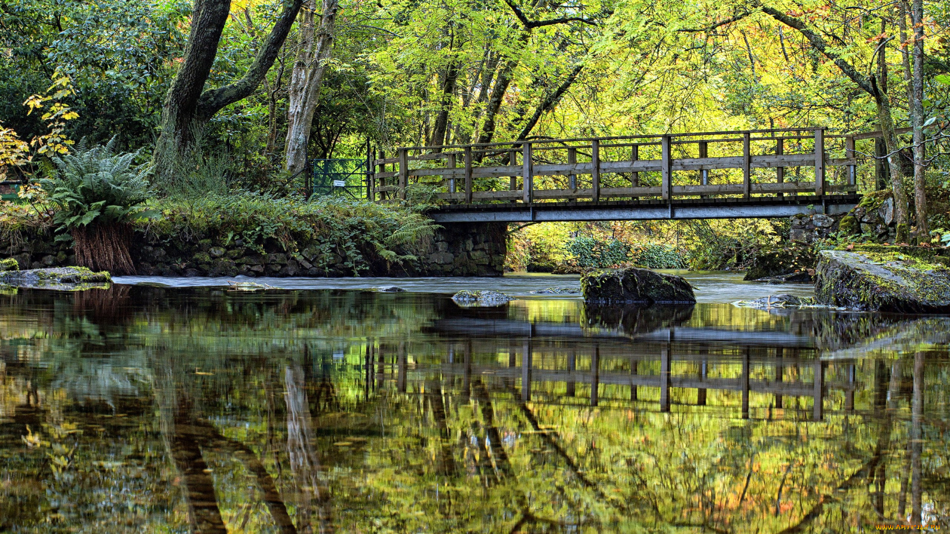природа, парк, водоем, мостик, японский, садик