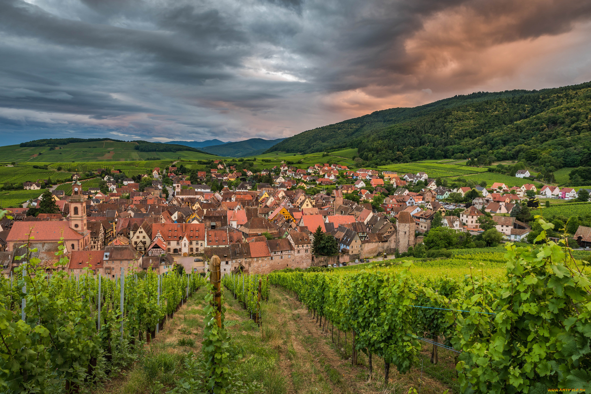 riquewihr, города, -, панорамы, простор