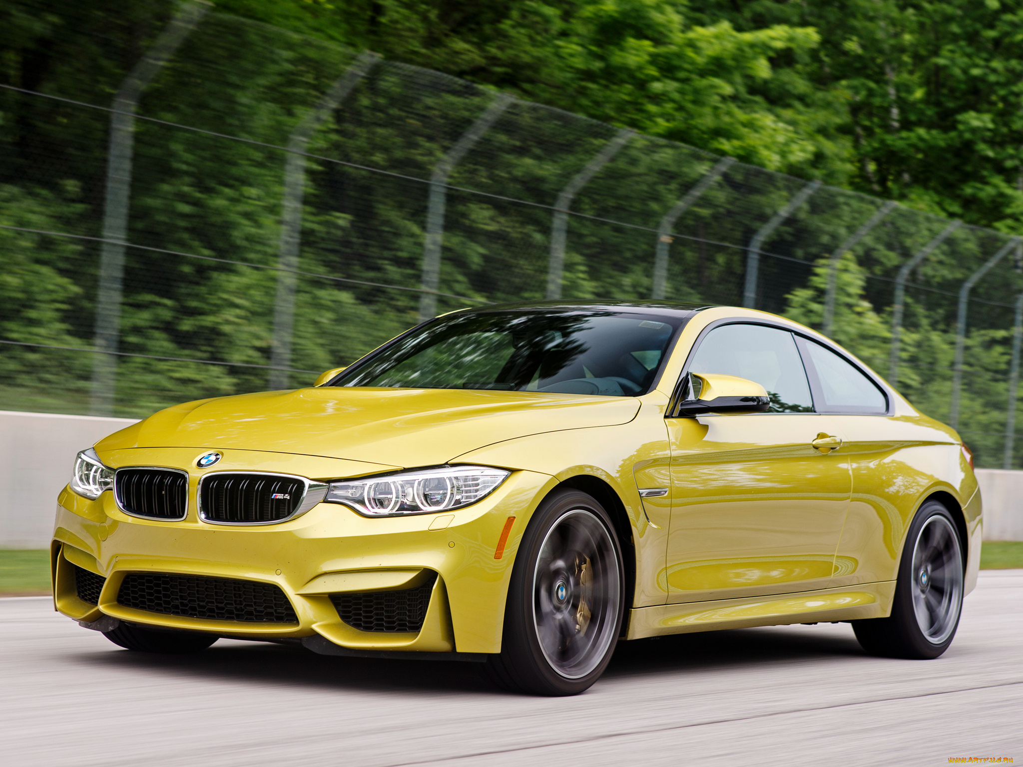 Бмв 2015. BMW m4 Coupe. 2015 BMW m4 Coupe. БМВ м4 купе Золотая. BMW m4 f32.