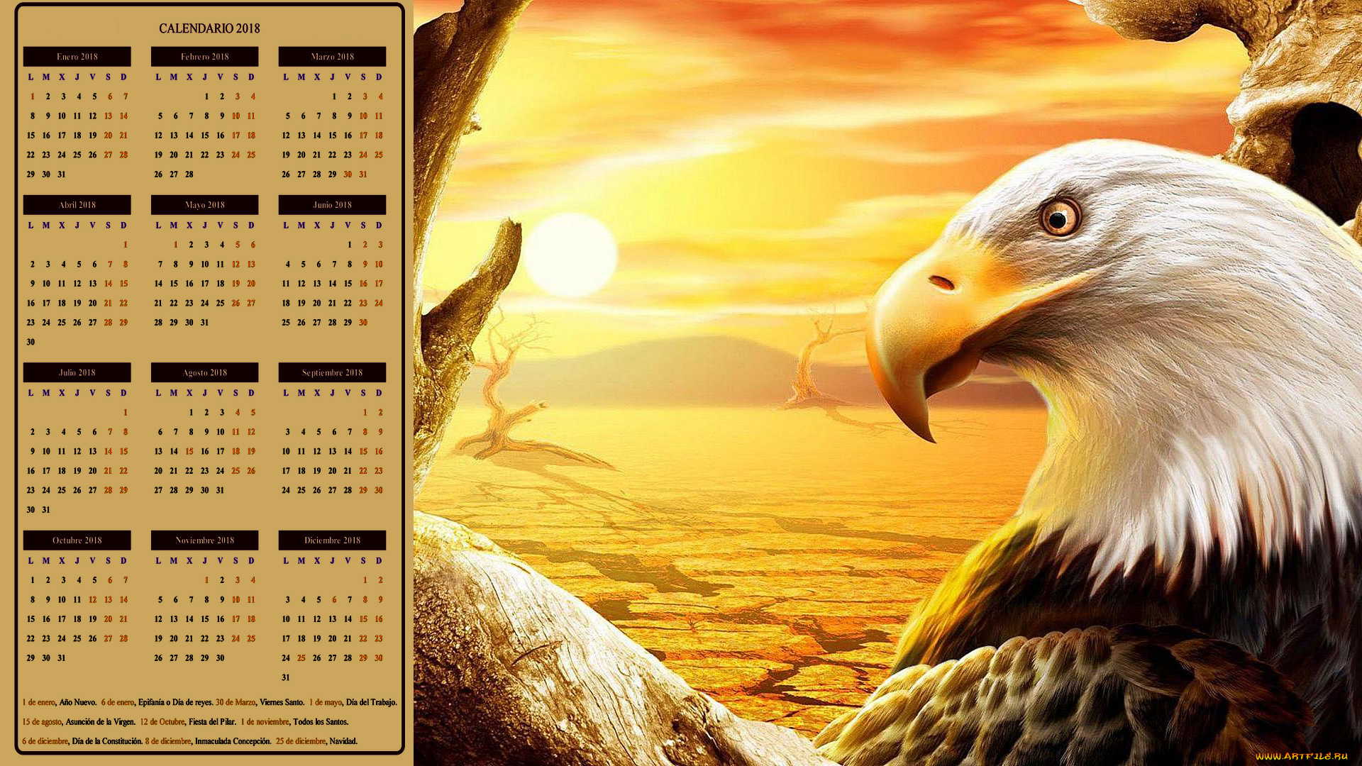 календари, рисованные, , векторная, графика, птица, профиль, голова, орел, пустыня