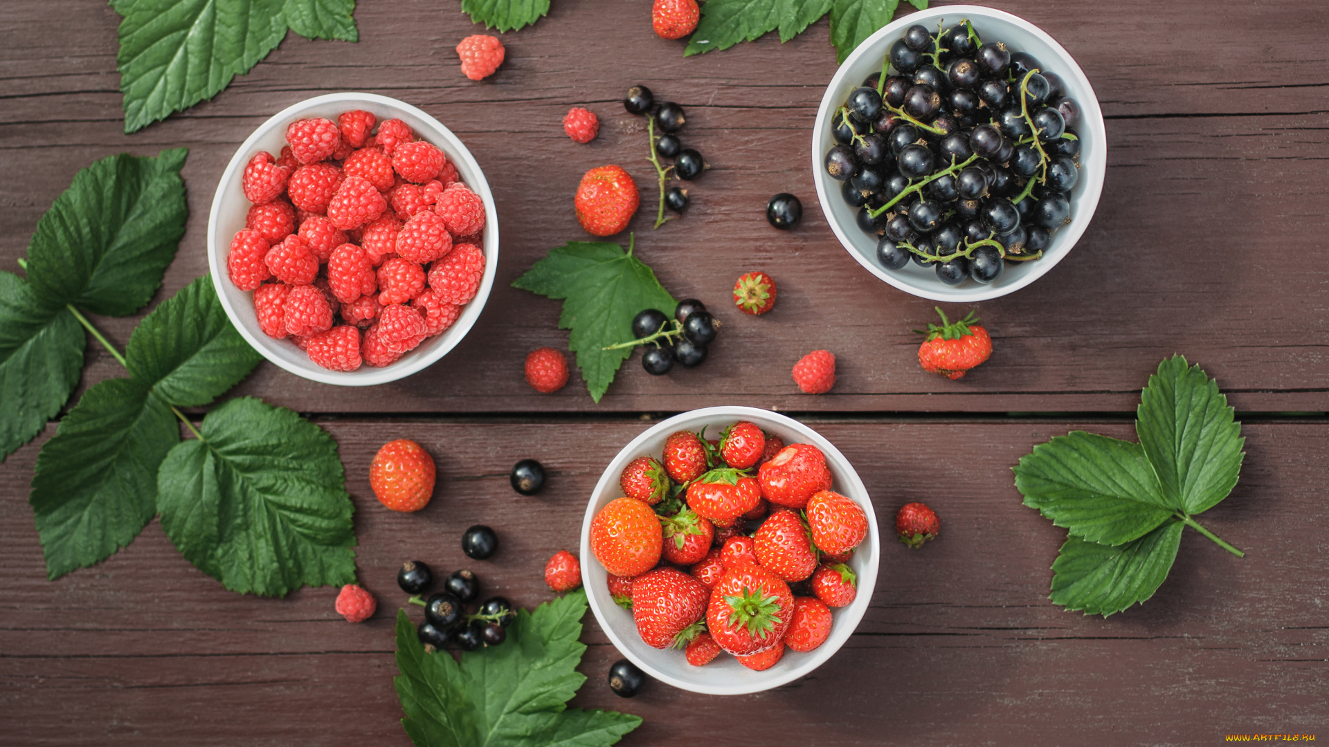 еда, фрукты, , ягоды, листочки, чёрная, смородина, малина, клубника, ягоды