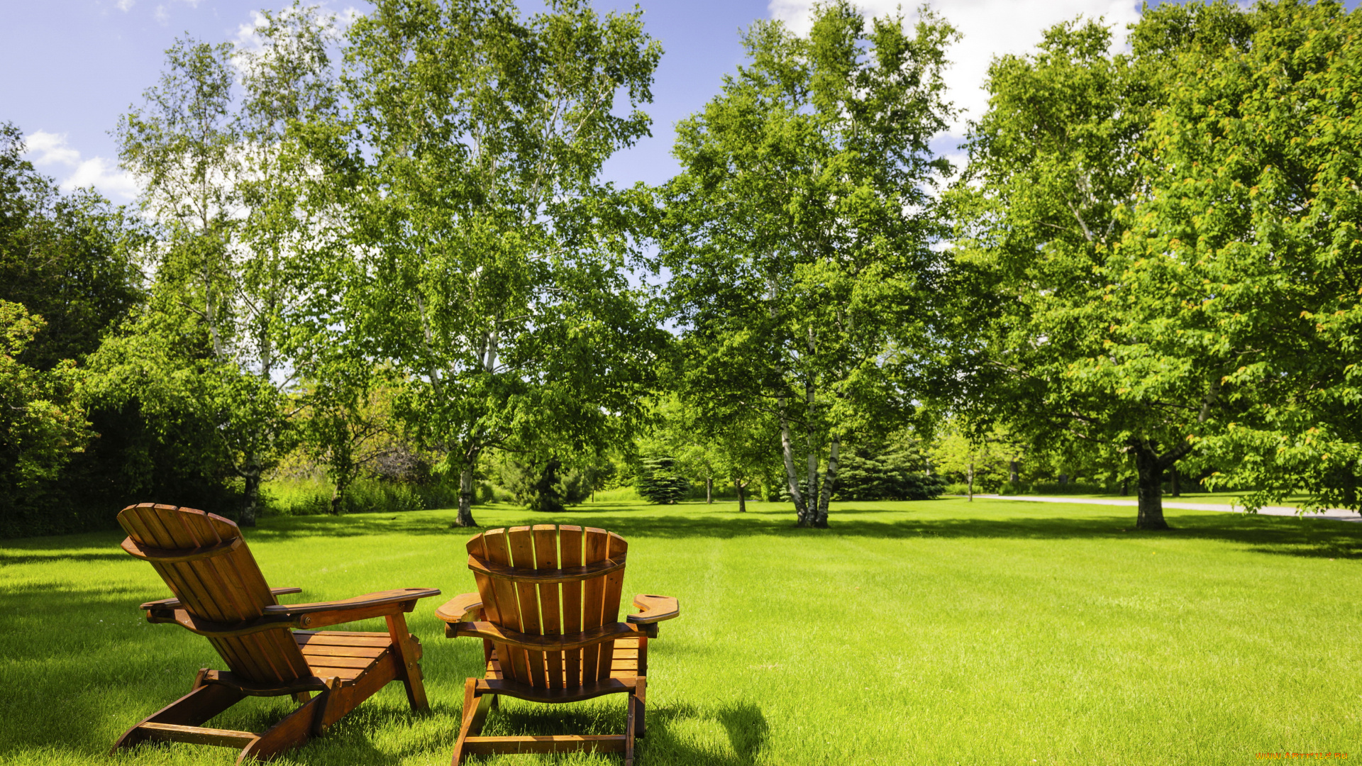 природа, парк, кресло, деревья, трава, лето