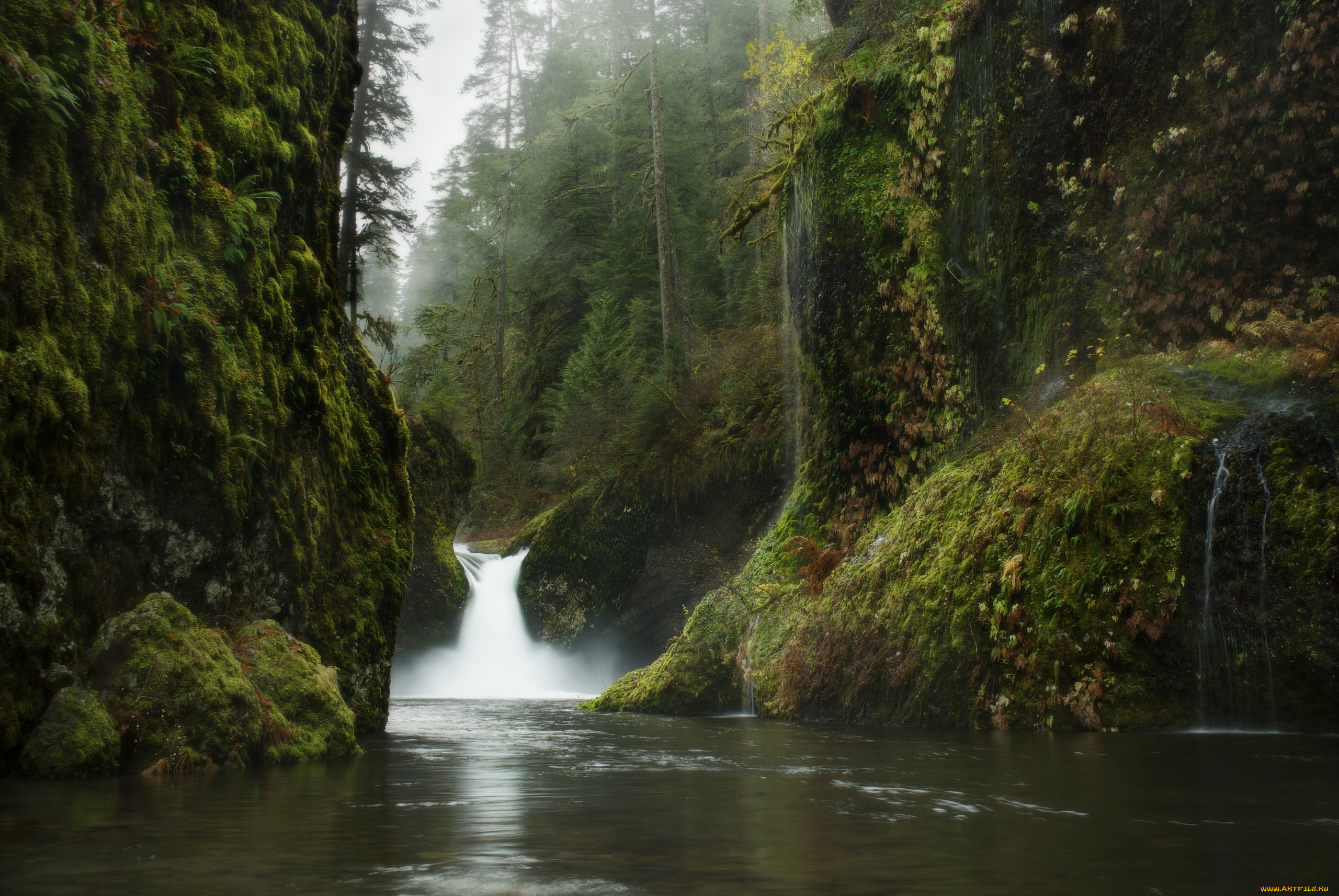 Обои на телефон живой водопад. Природа. Природа в картинках. Красивые водопады. Водопад в лесу.