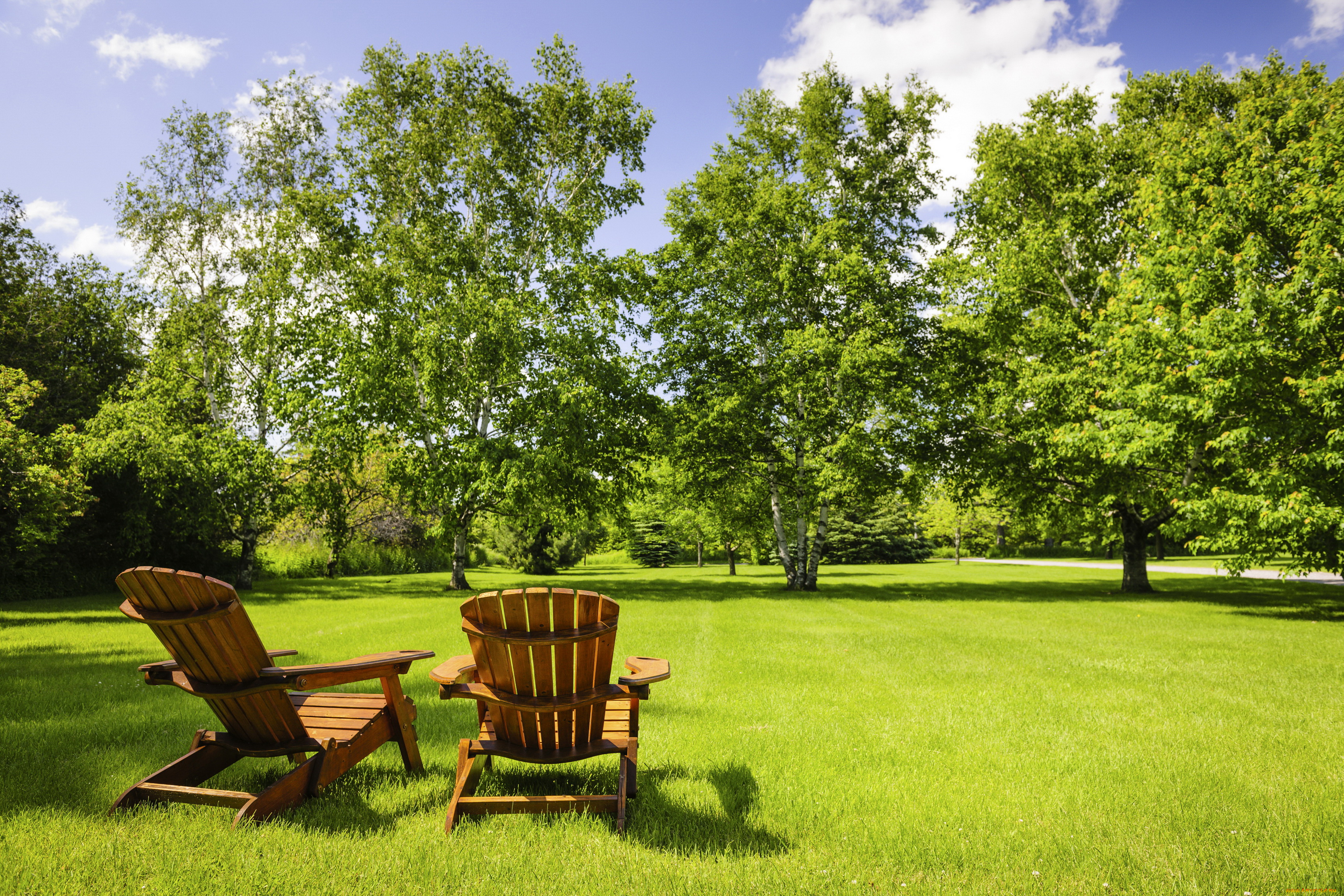 природа, парк, кресло, деревья, трава, лето
