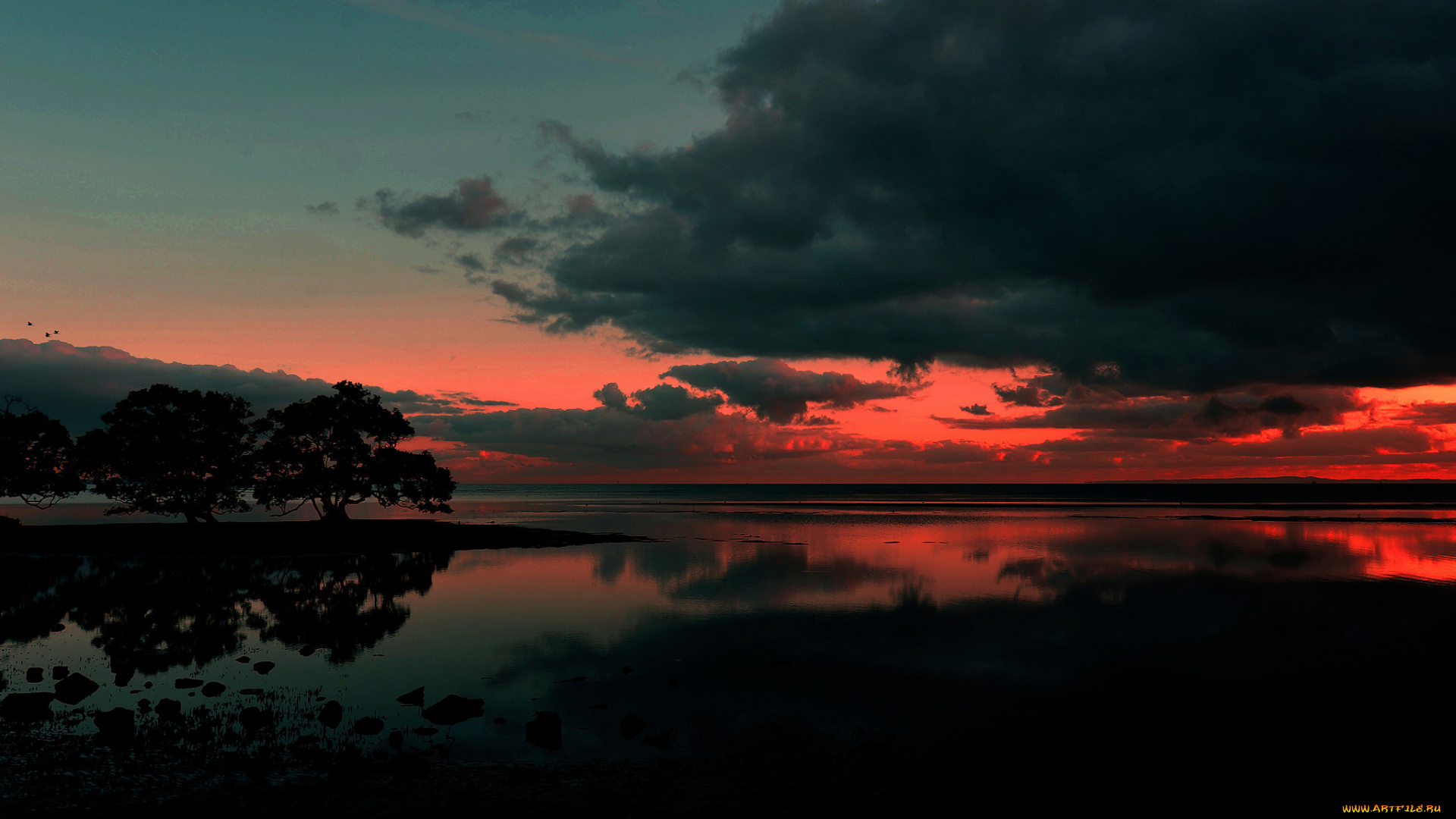 природа, реки, озера, восход, австралия, nudgee, beach