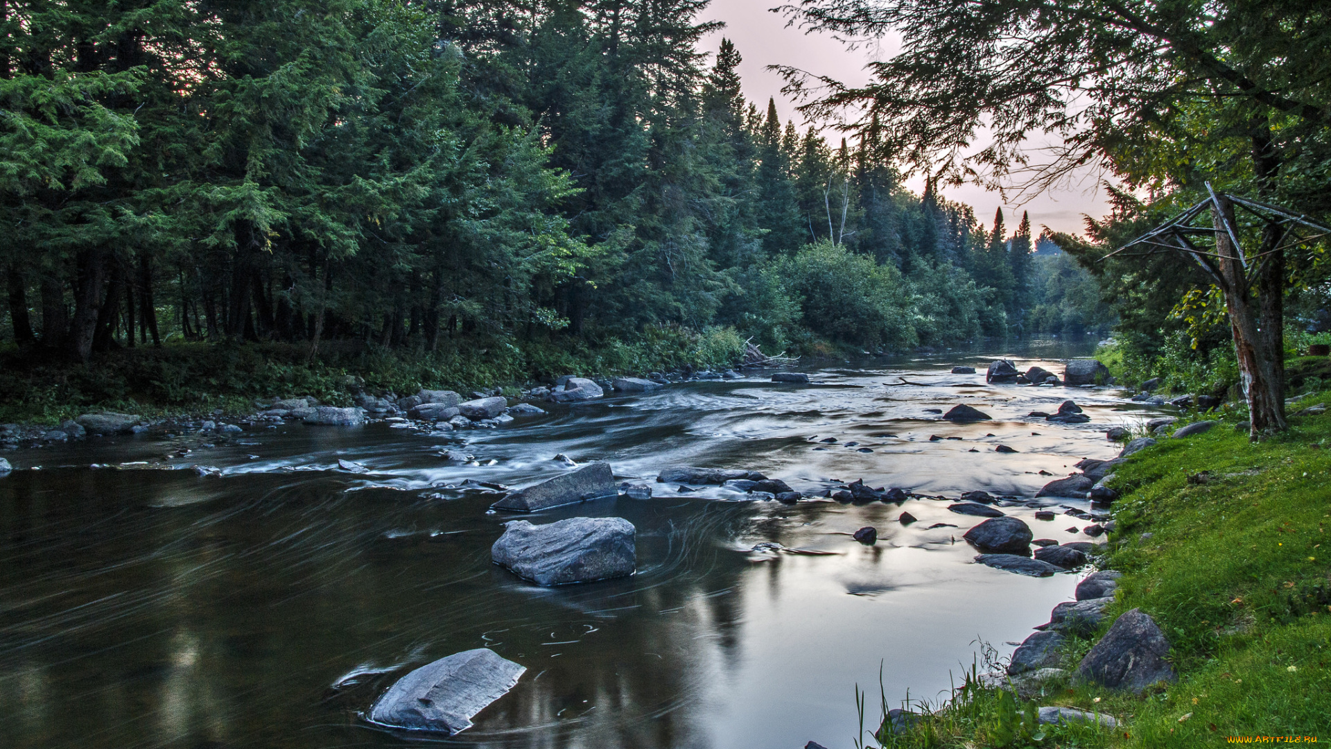 природа, реки, озера, река, лес