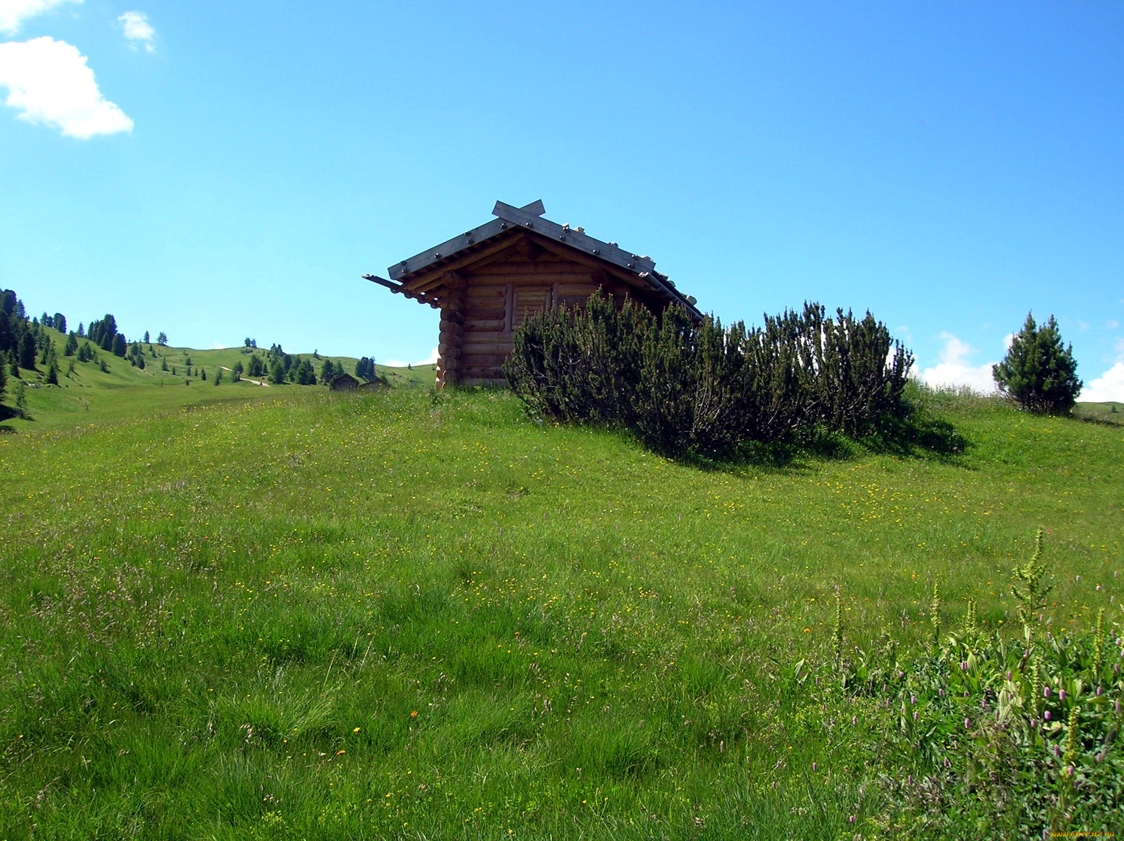 разное, сооружения, , постройки, холмы, кусты, луг, избушка, трава