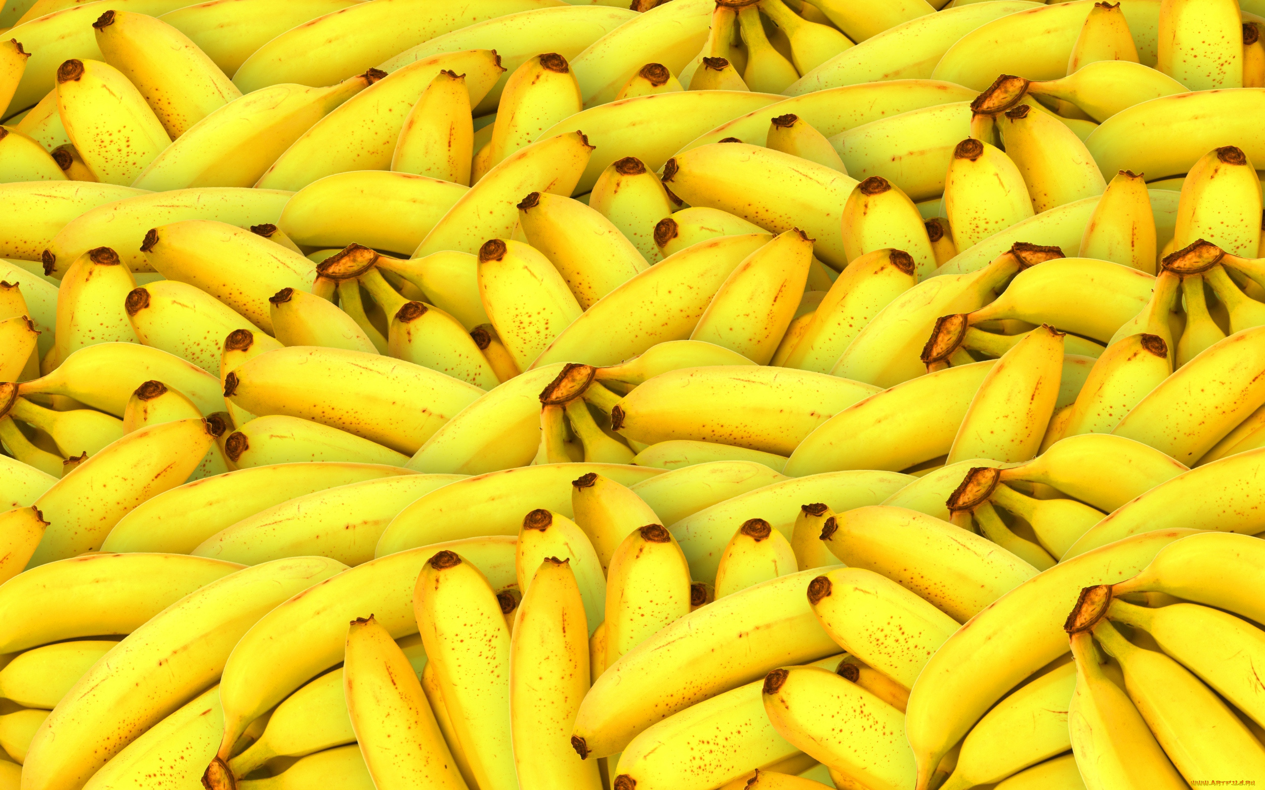 еда, бананы, много, тропические, фрукты