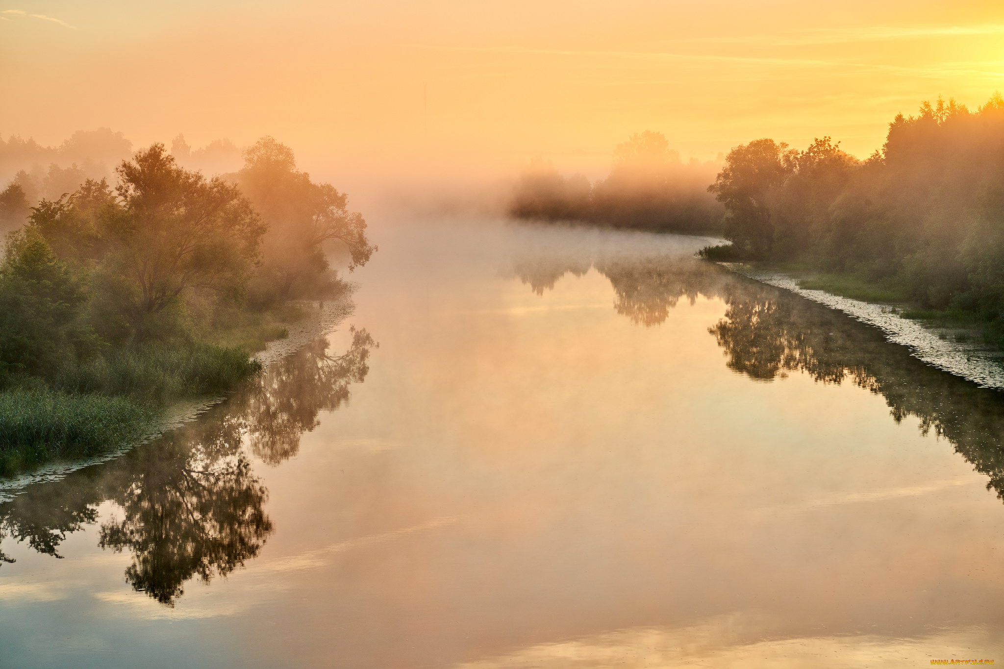 природа, реки, озера, река, лес