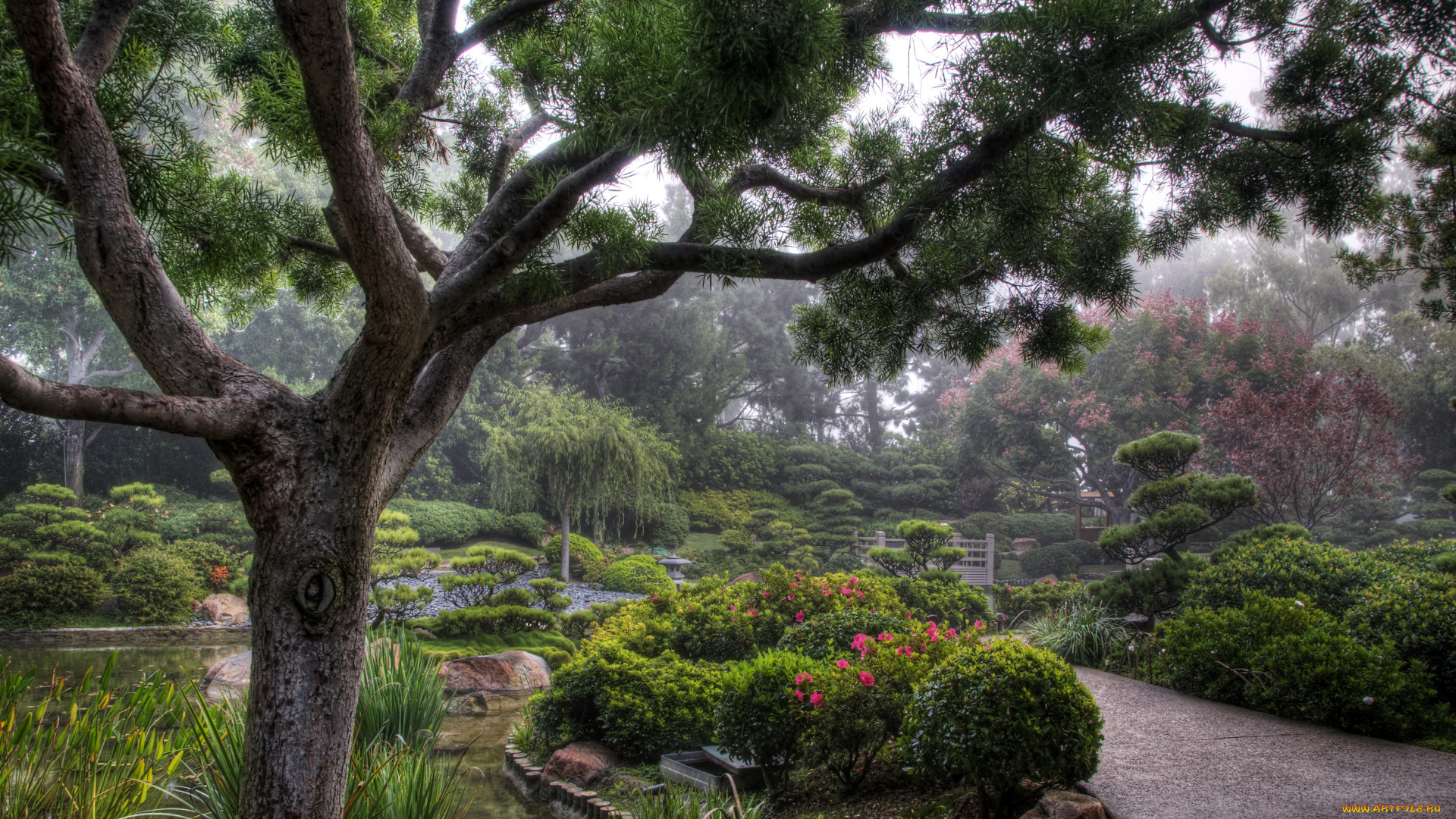 earl, burns, miller, japanese, garden, california, usa, природа, парк