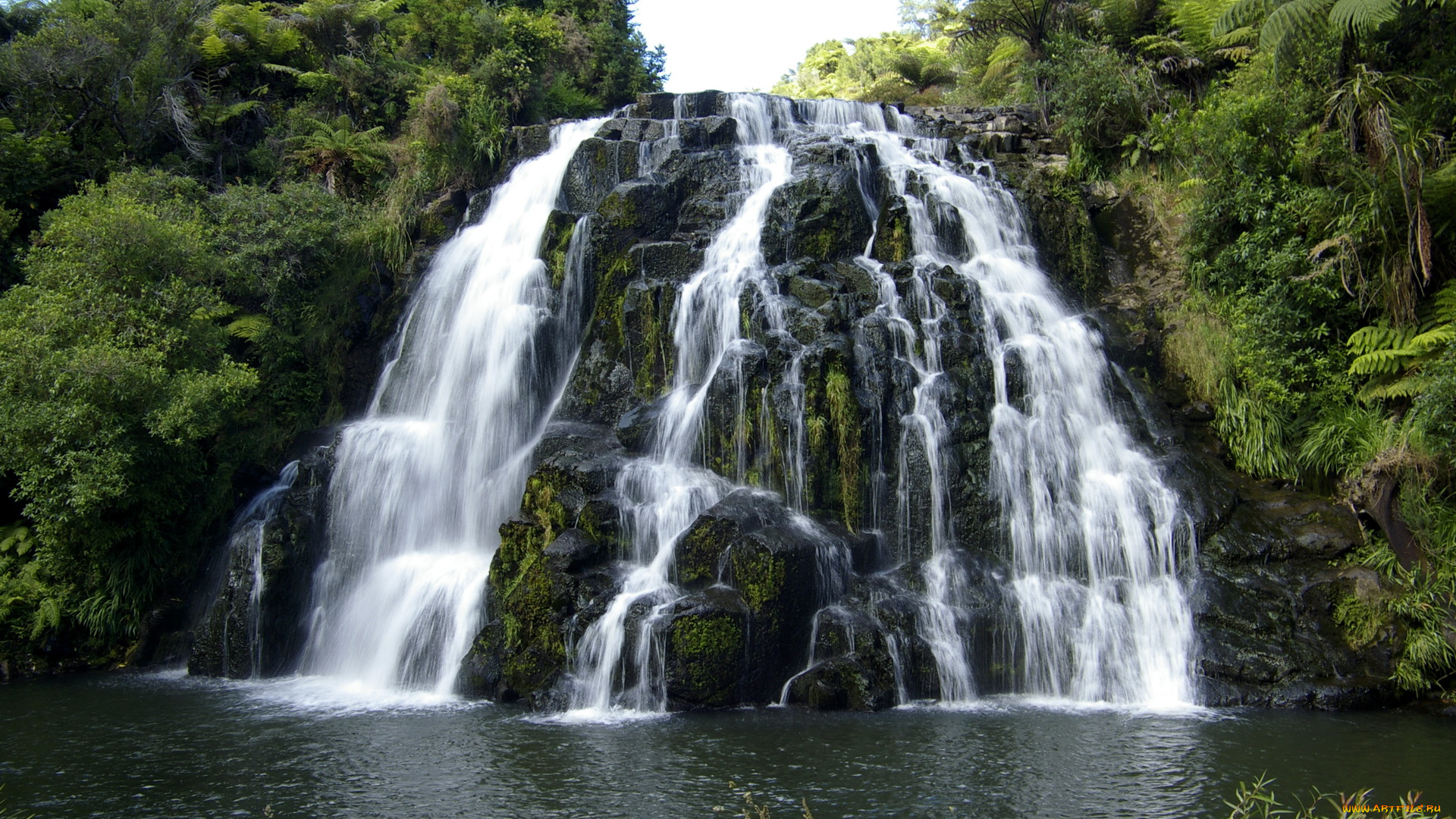 новая, зеландия, cascada, owharoa, природа, водопады