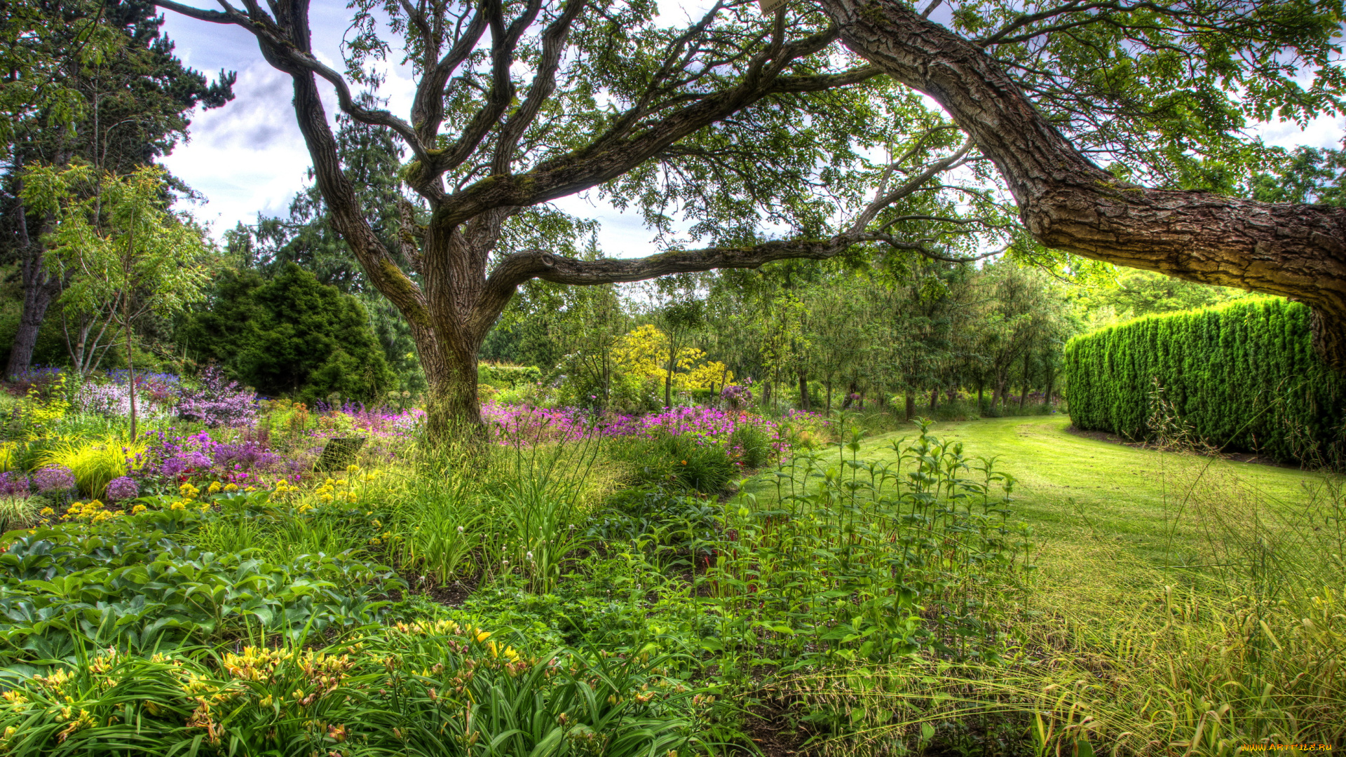 vandusen, botanical, garden, vancouver, канада, природа, парк