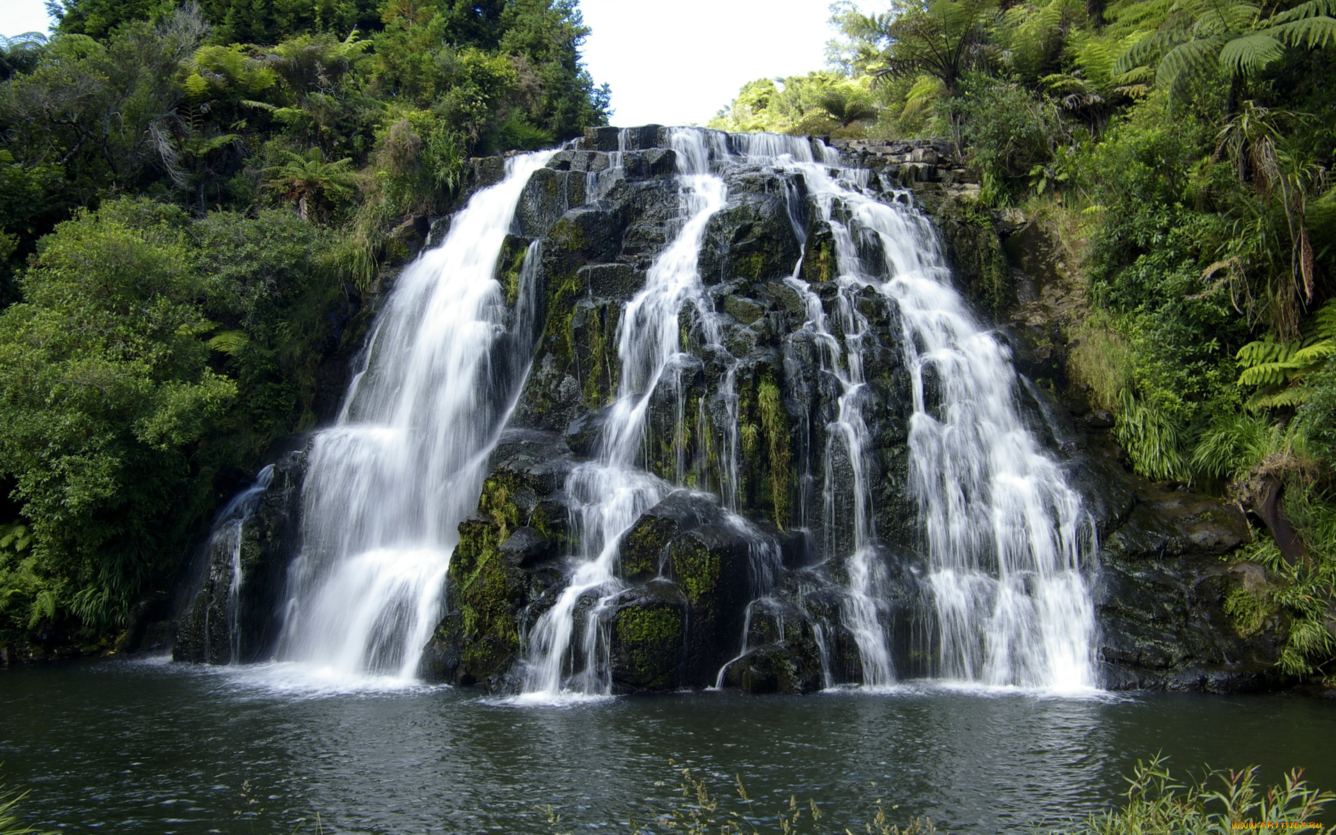 новая, зеландия, cascada, owharoa, природа, водопады