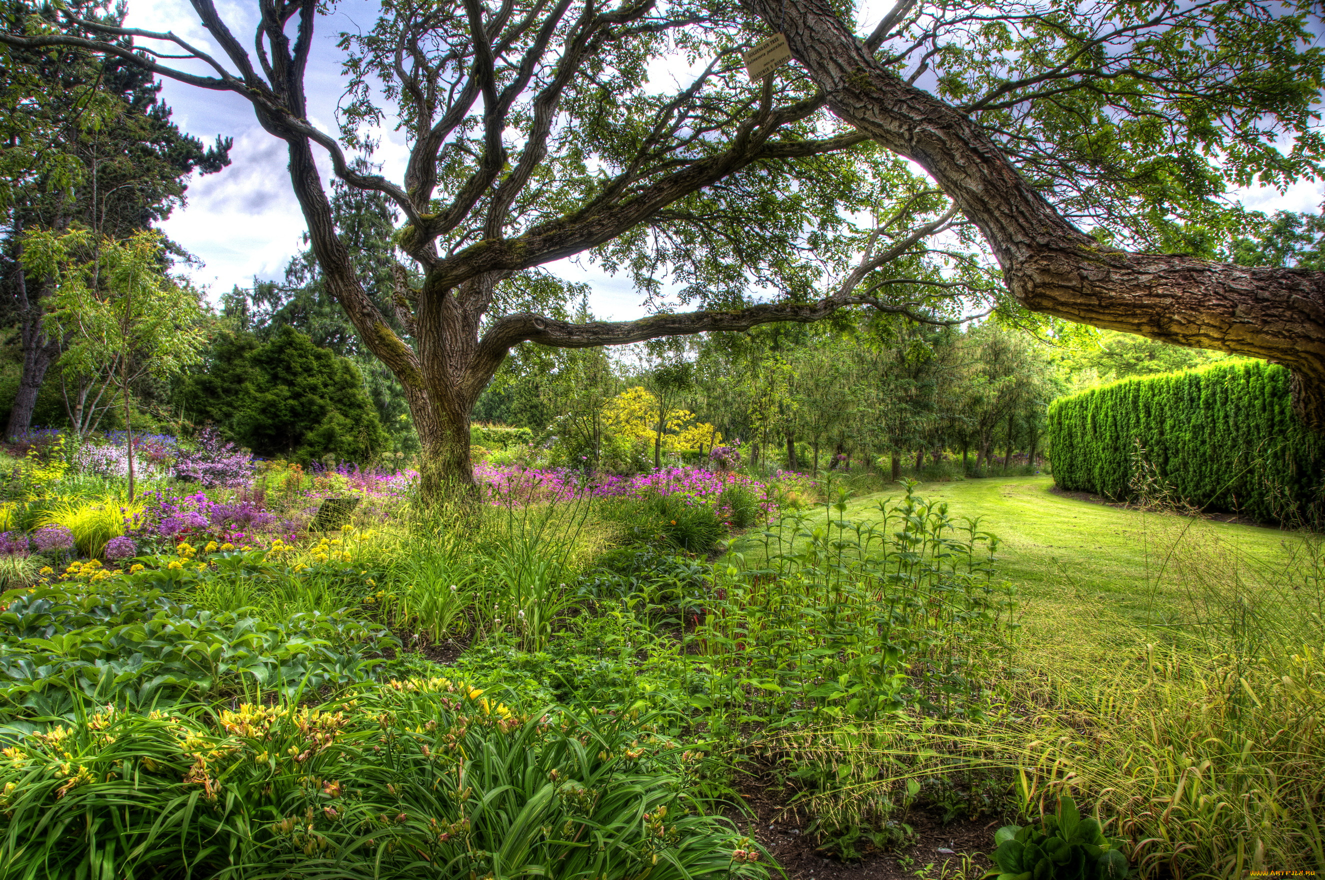 vandusen, botanical, garden, vancouver, канада, природа, парк