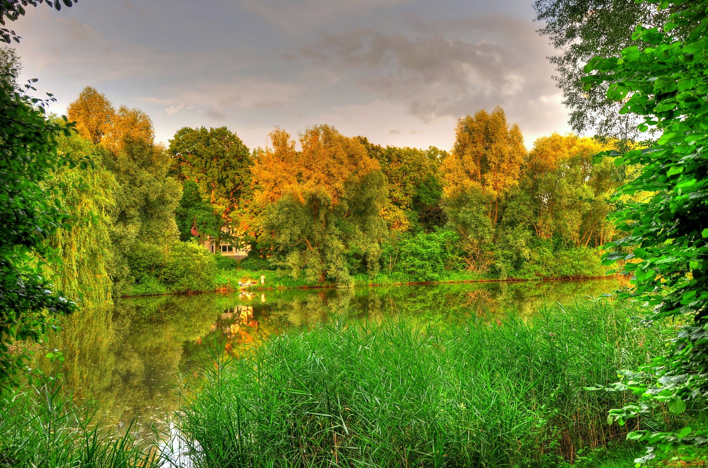 германия, гамбург, природа, реки, озера, река