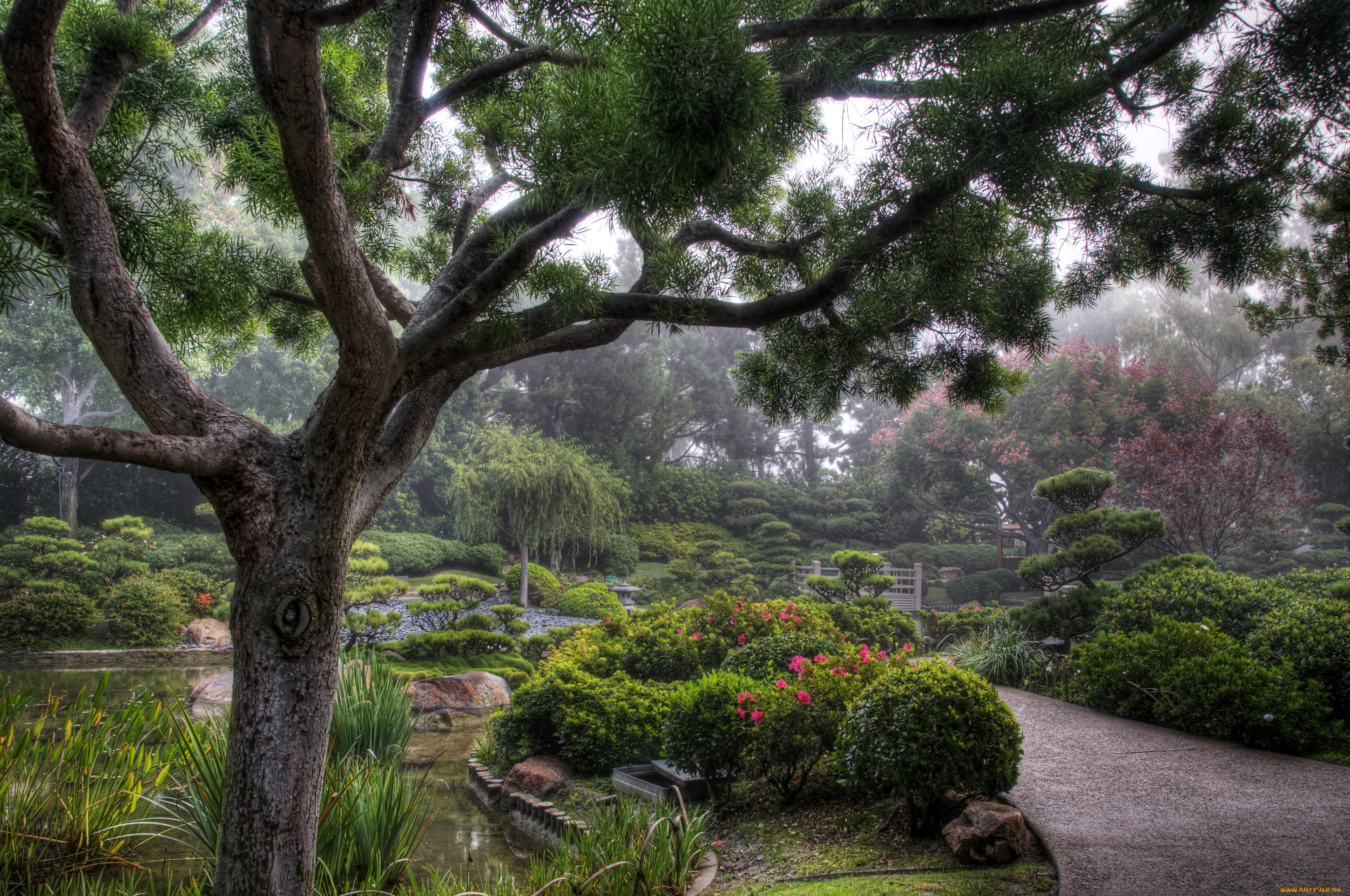 earl, burns, miller, japanese, garden, california, usa, природа, парк