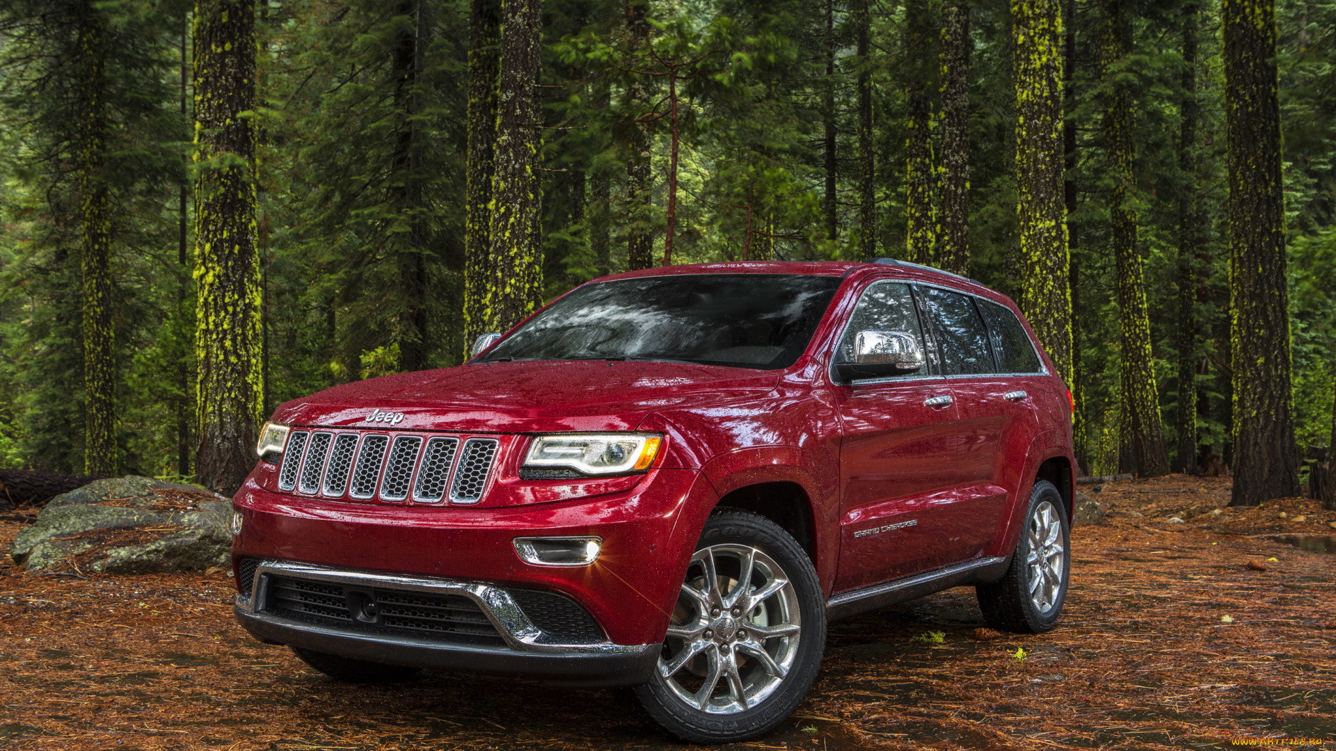 2014, jeep, grand, cherokee, summit, автомобили, лес, поляна