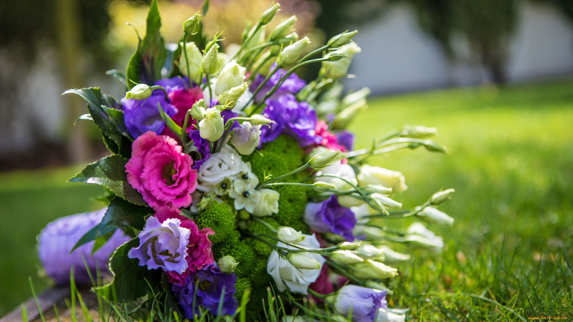 цветы, букеты, , композиции, букет, эустома, eustoma, bouquet, flowers