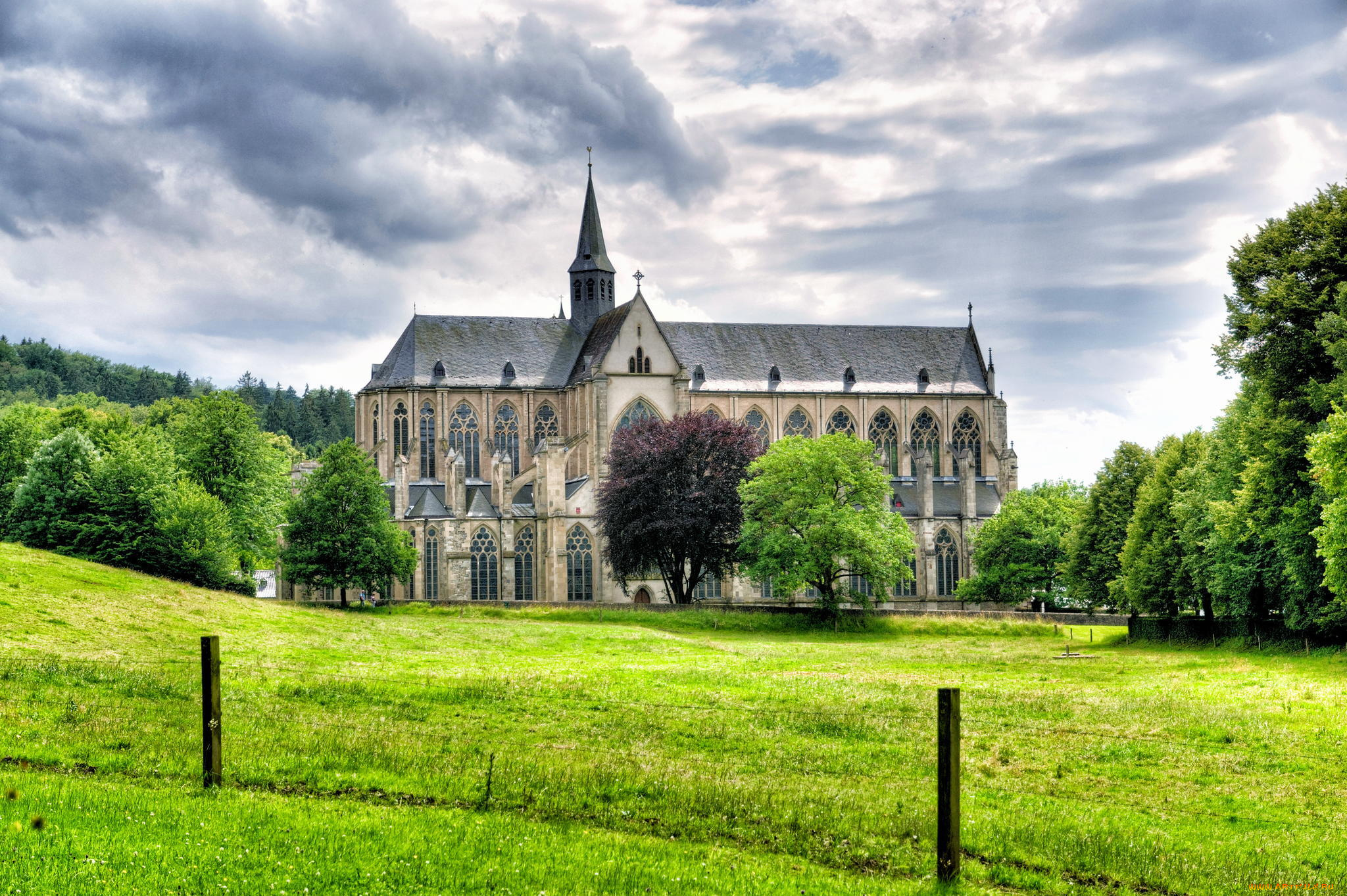 altenberg, abbey, , germany, города, -, католические, соборы, , костелы, , аббатства, пейзаж, собор, germany, трава, altenberg, деревья, альтенберг, германия