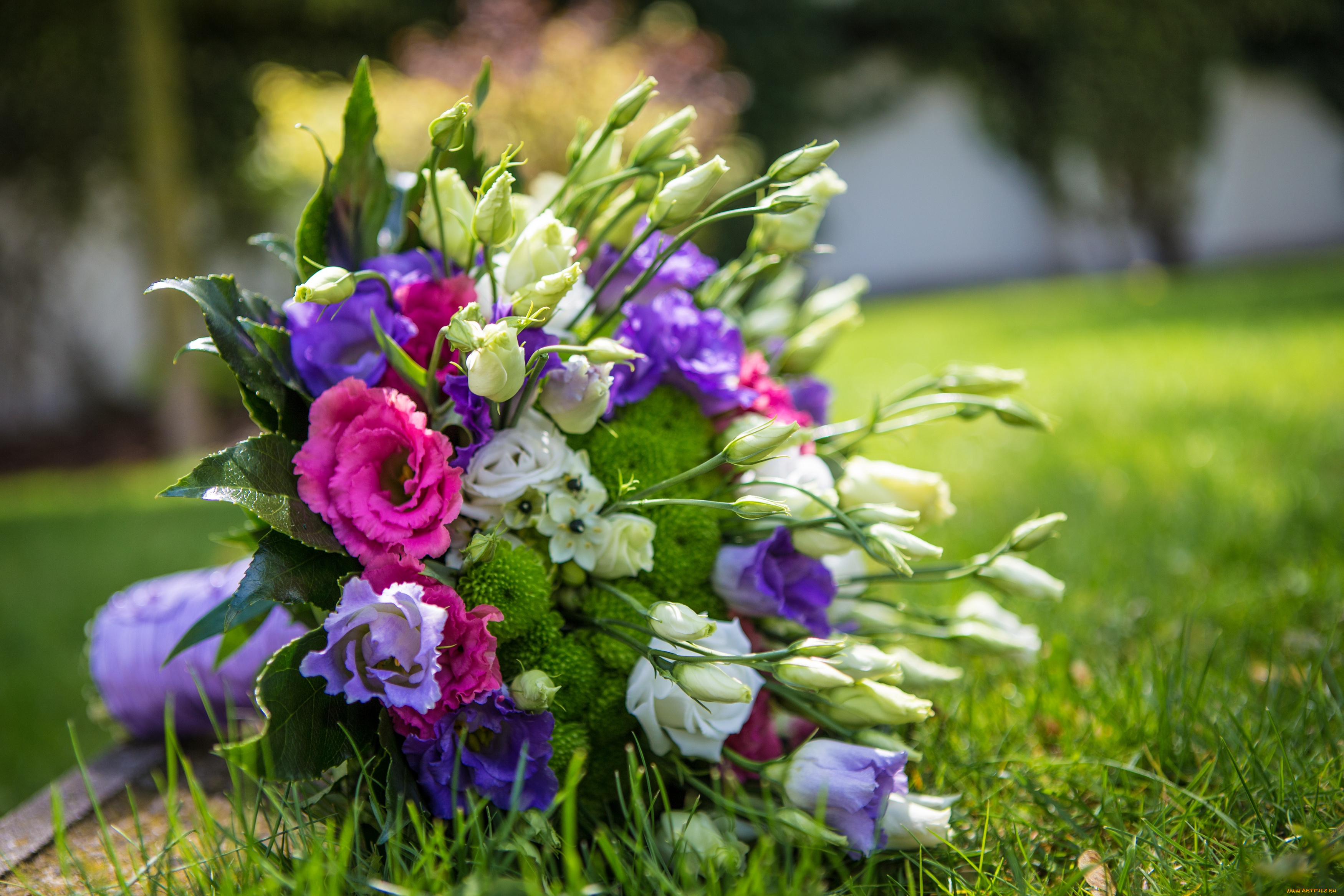 цветы, букеты, , композиции, букет, эустома, eustoma, bouquet, flowers