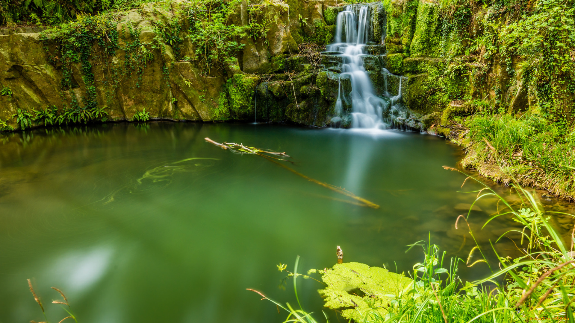 природа, водопады, лес, река, водопад