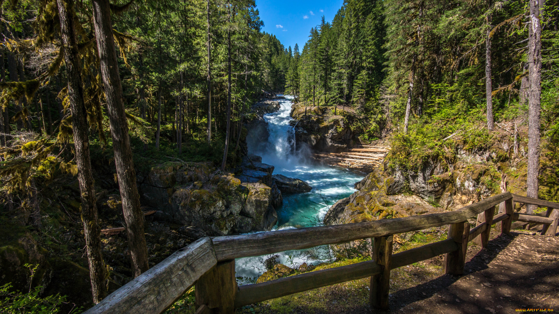 природа, водопады, лес, водопад, река