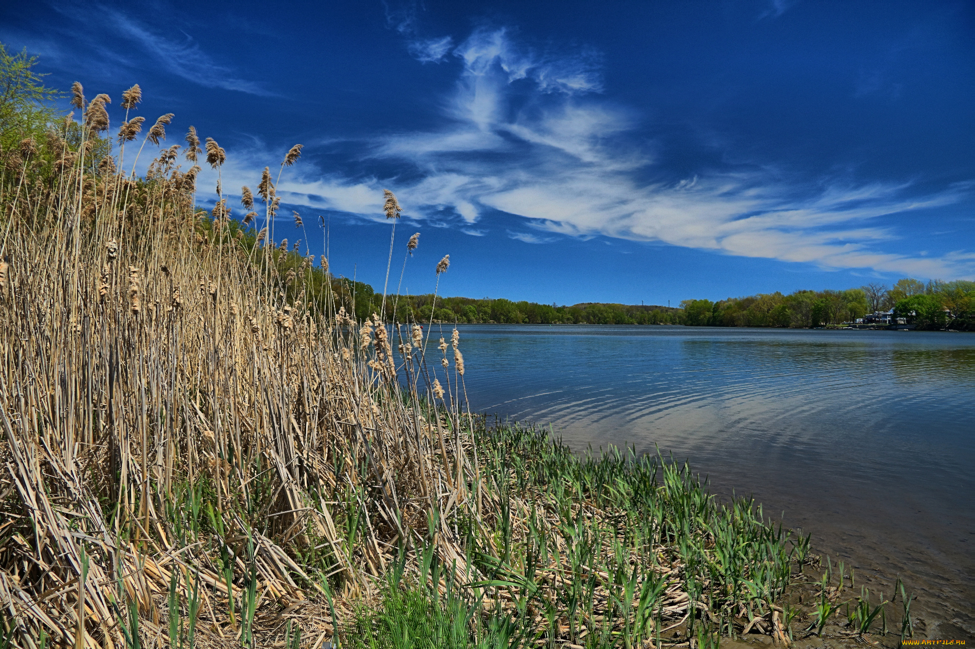 природа, реки, озера, река, лес