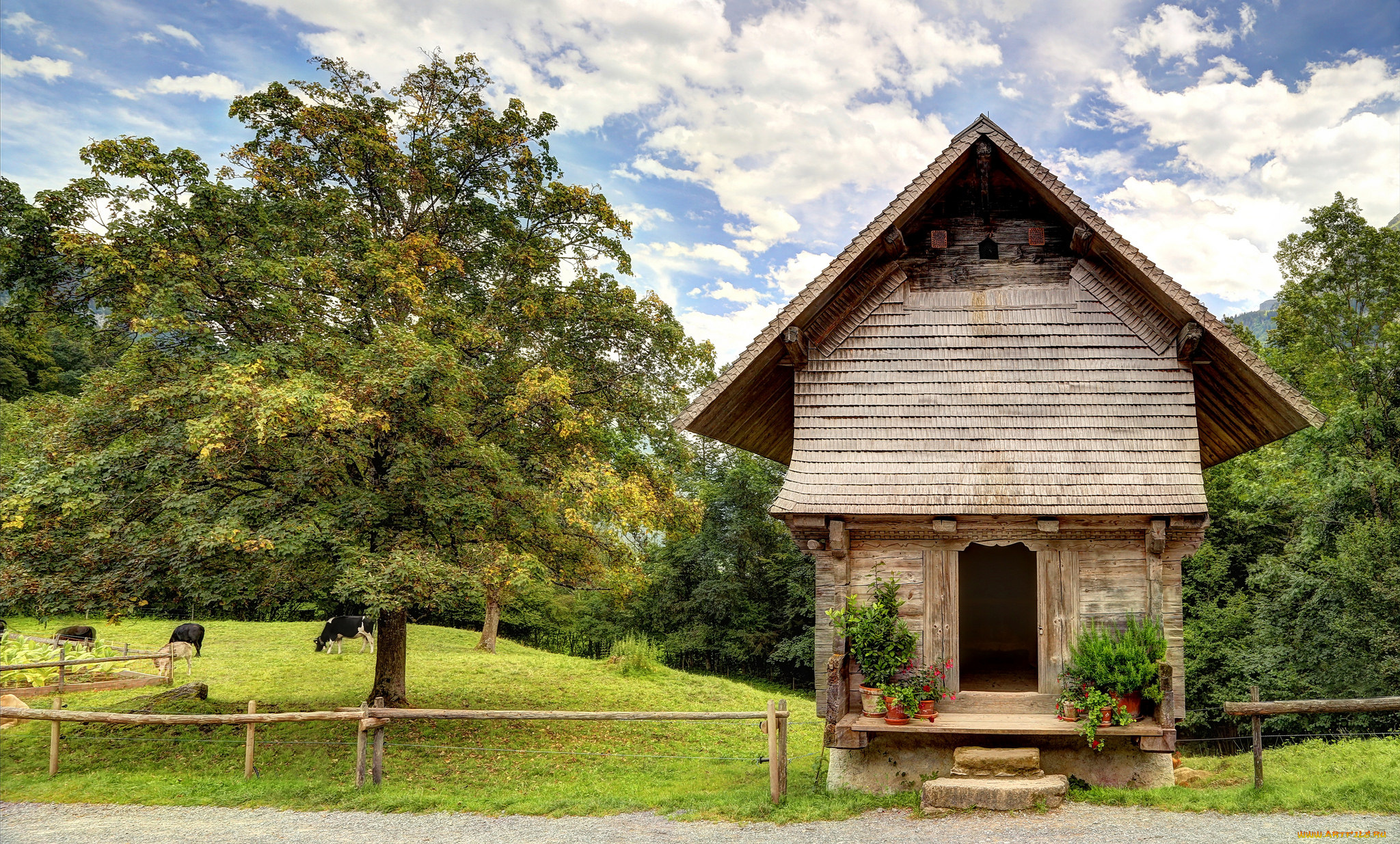 traditional, hut, города, -, здания, , дома, домик