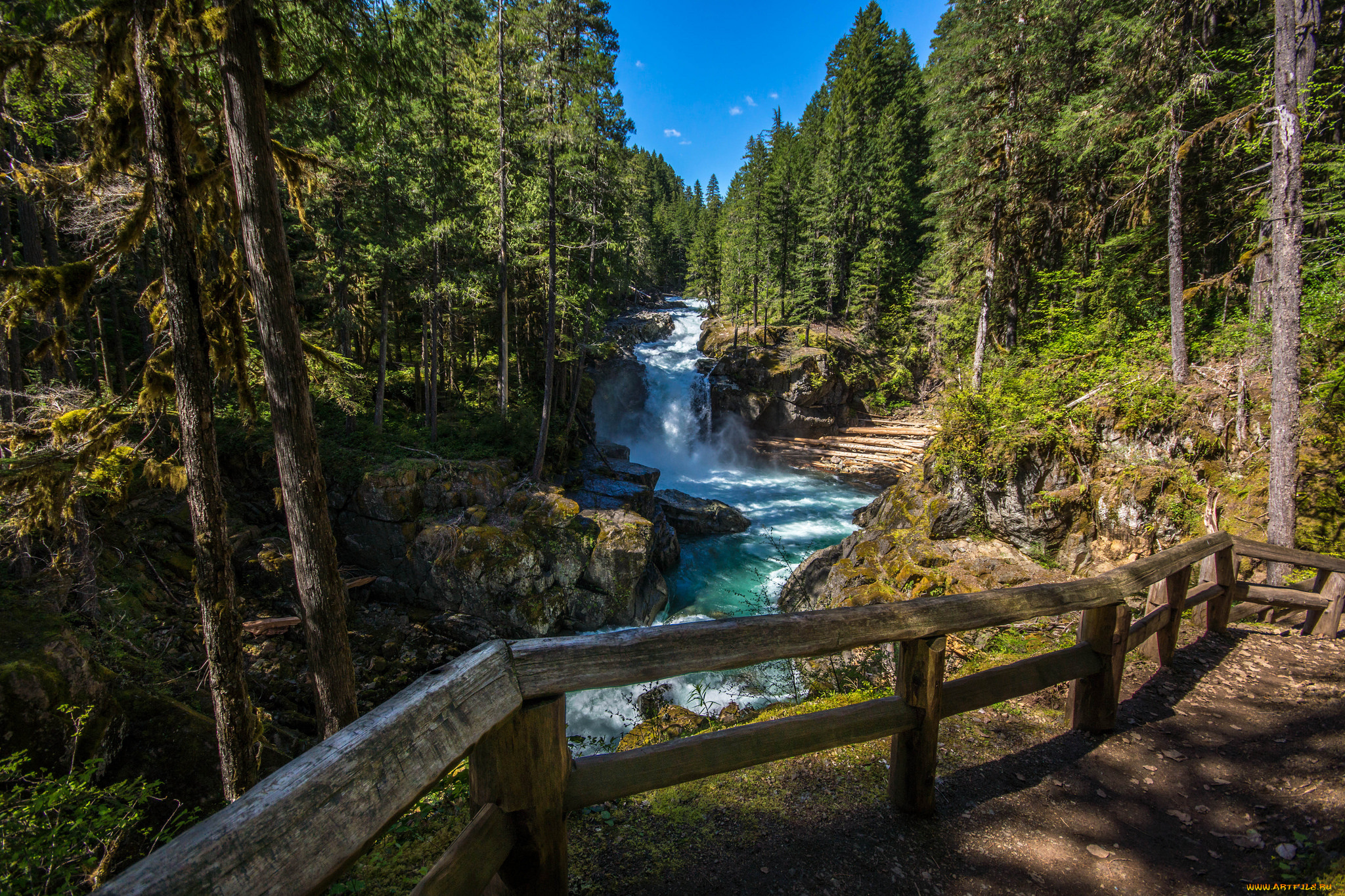 природа, водопады, лес, водопад, река