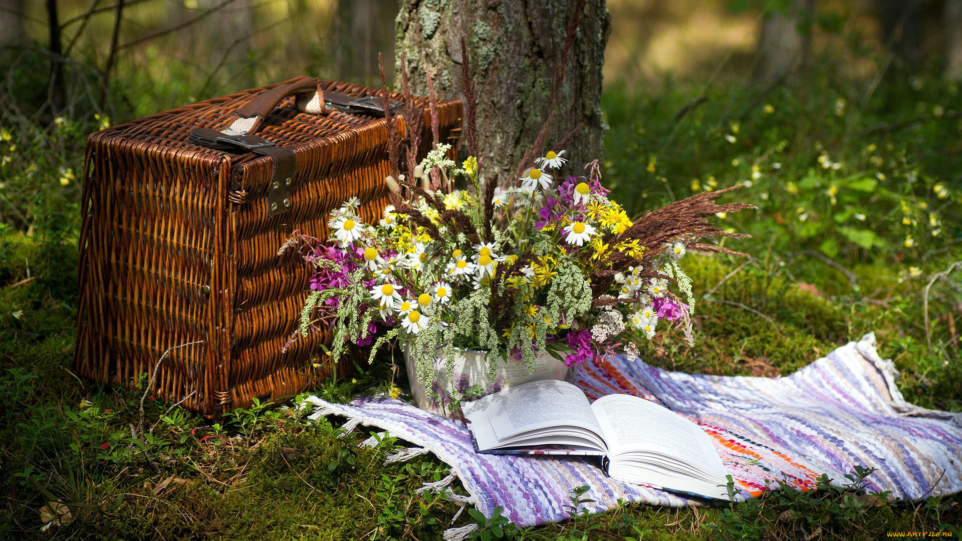 цветы, букеты, , композиции, корзинка, кипрей, ромашки, пикник, книга
