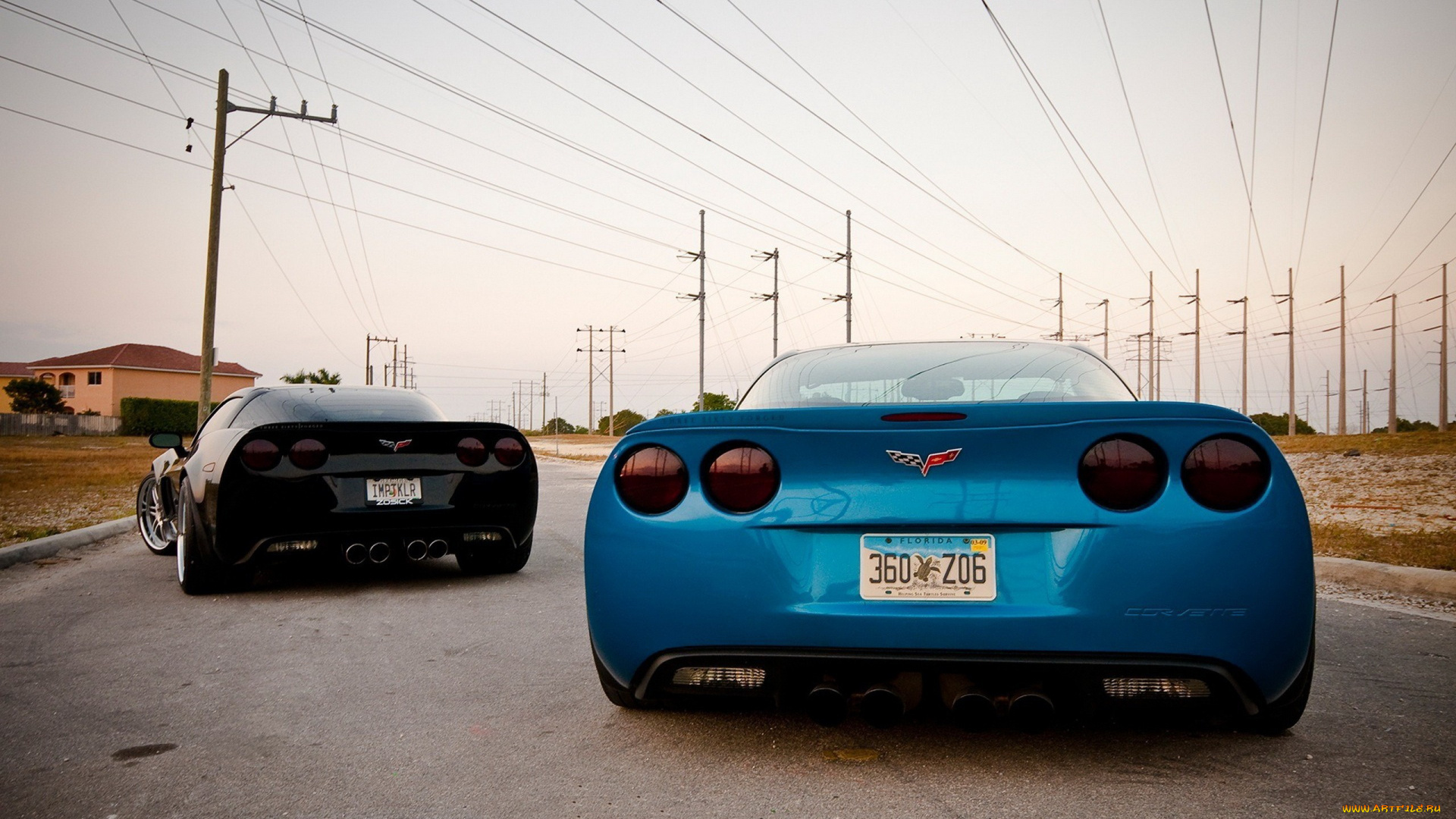 автомобили, corvette, корвет, черный, синий, дорога