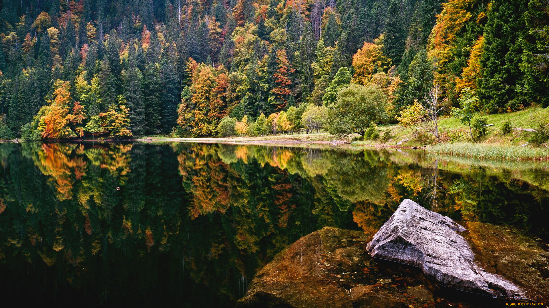 природа, реки, озера, лес, деревья, осень, озеро