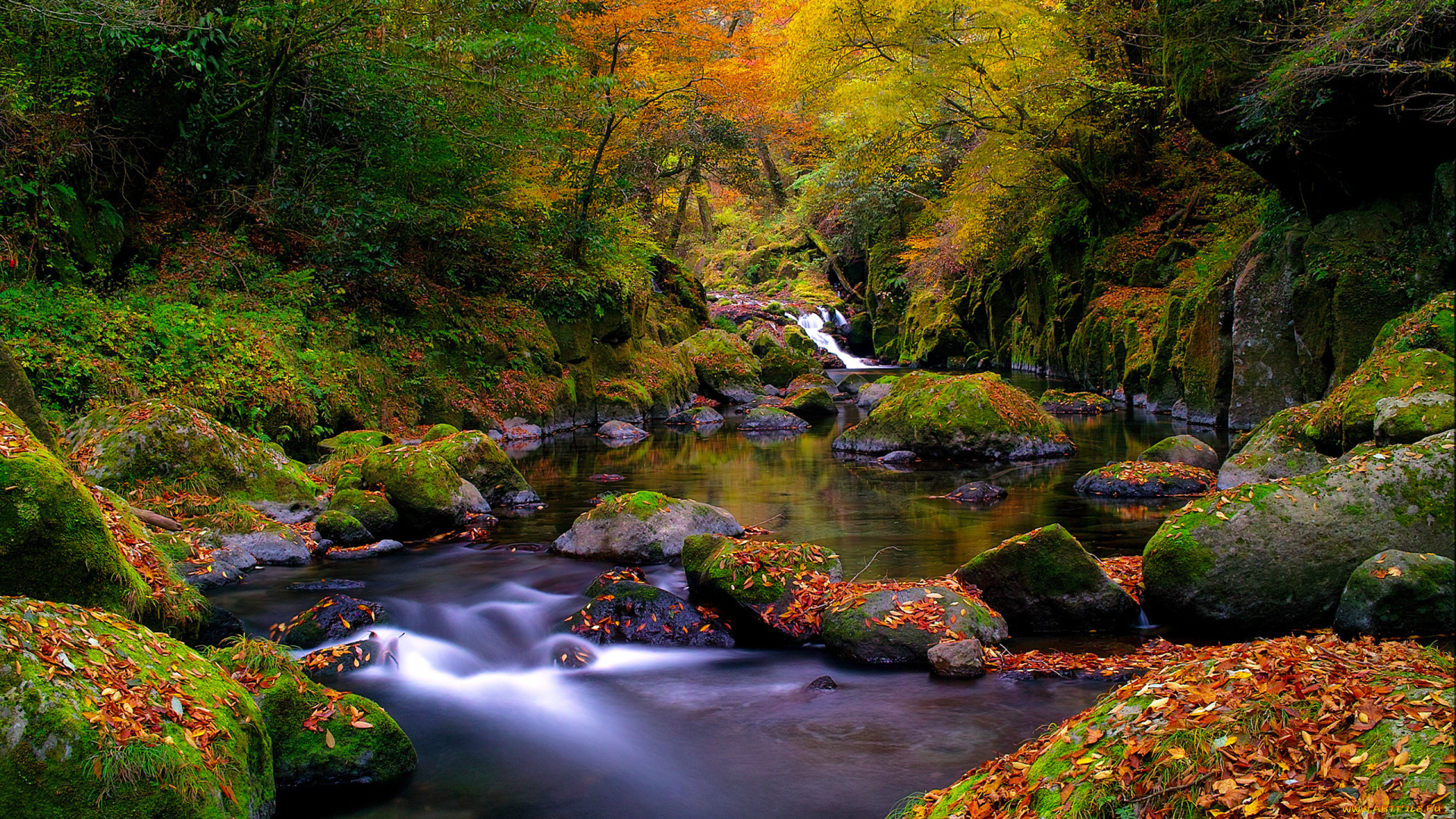 природа, реки, озера, осень, камни, листья, деревья, река, лес