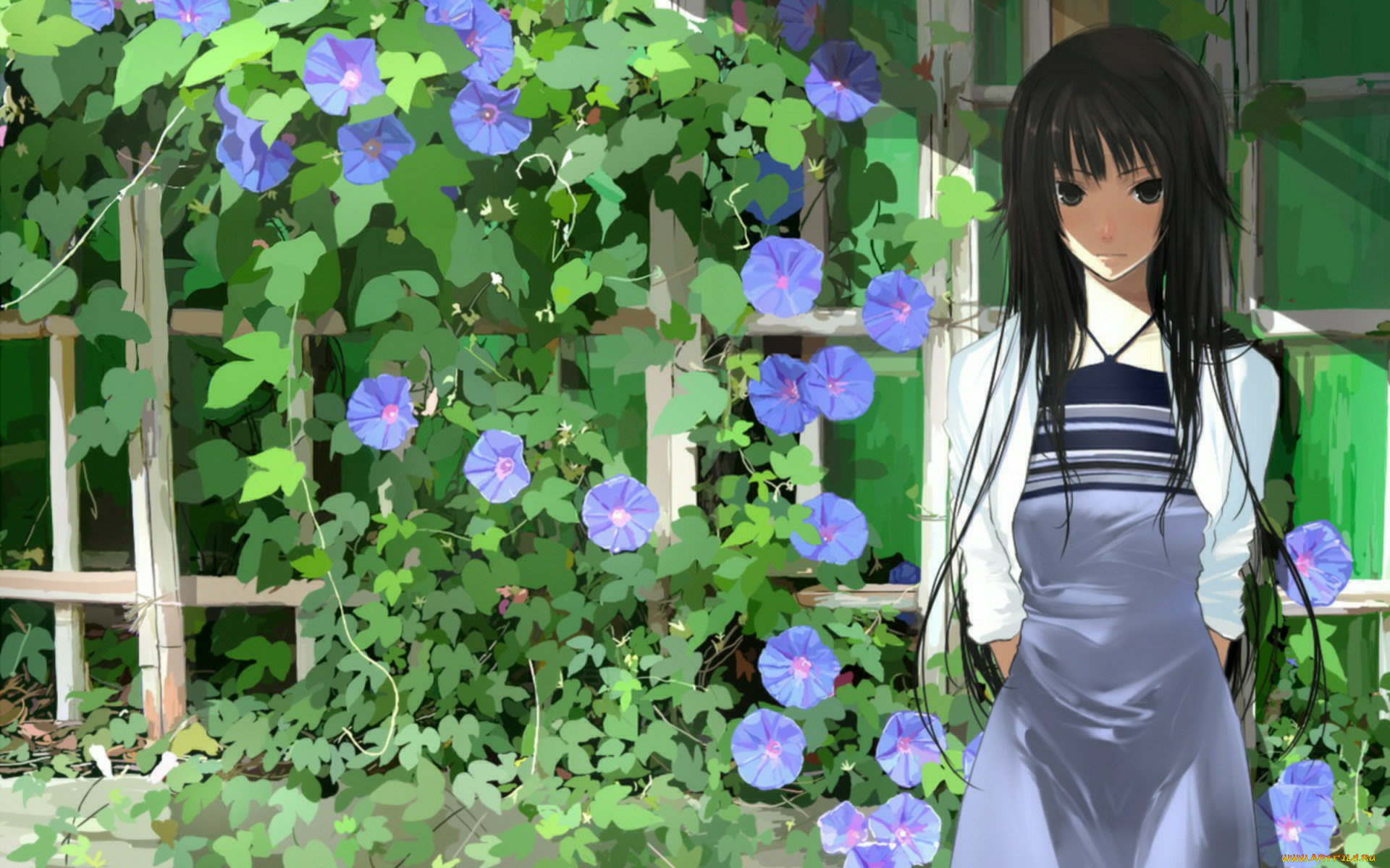 аниме, bakemonogatari, цветы, девушка, senjougahara, hitagi, растения, платье