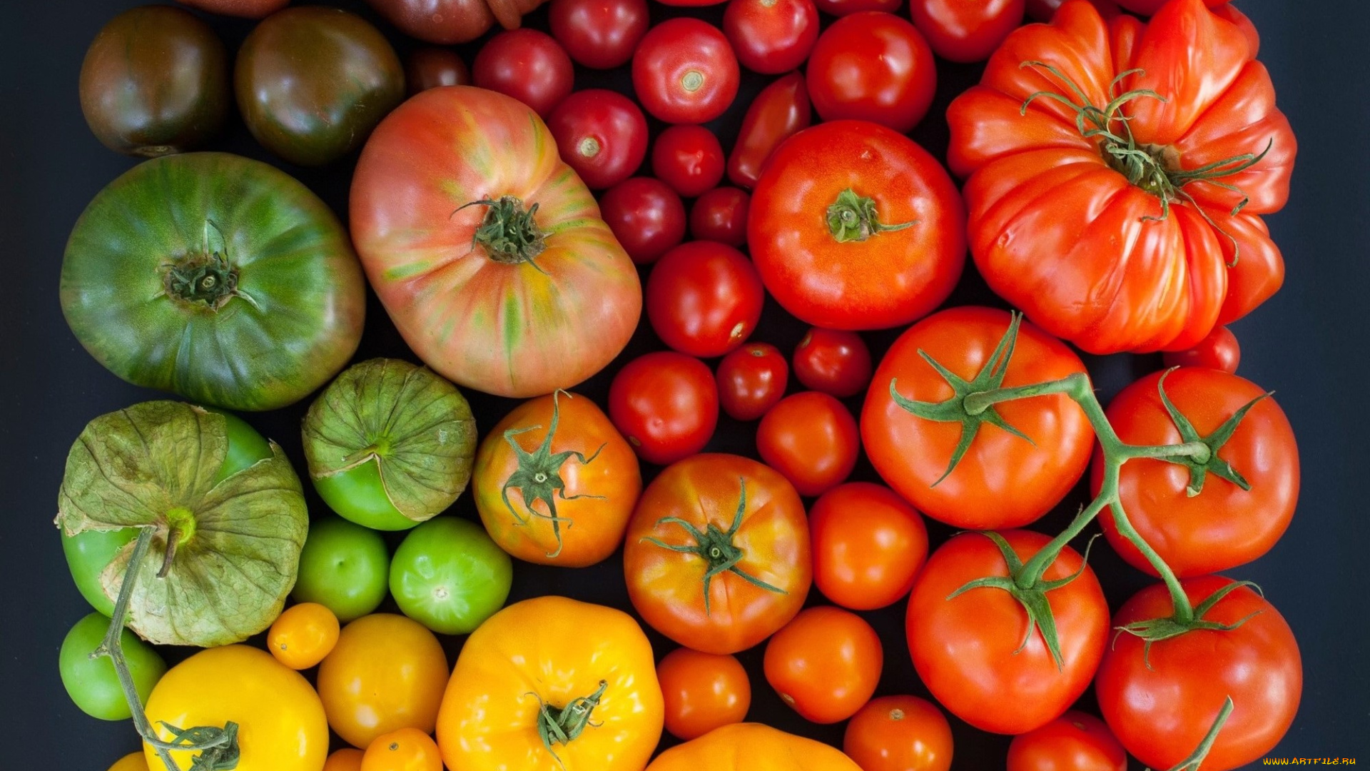 еда, помидоры, разноцветные, томаты