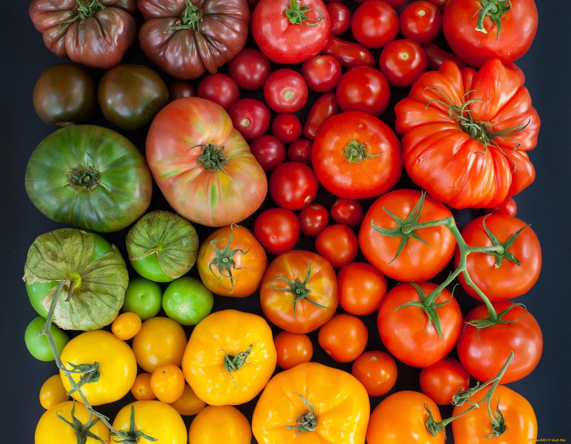 еда, помидоры, разноцветные, томаты